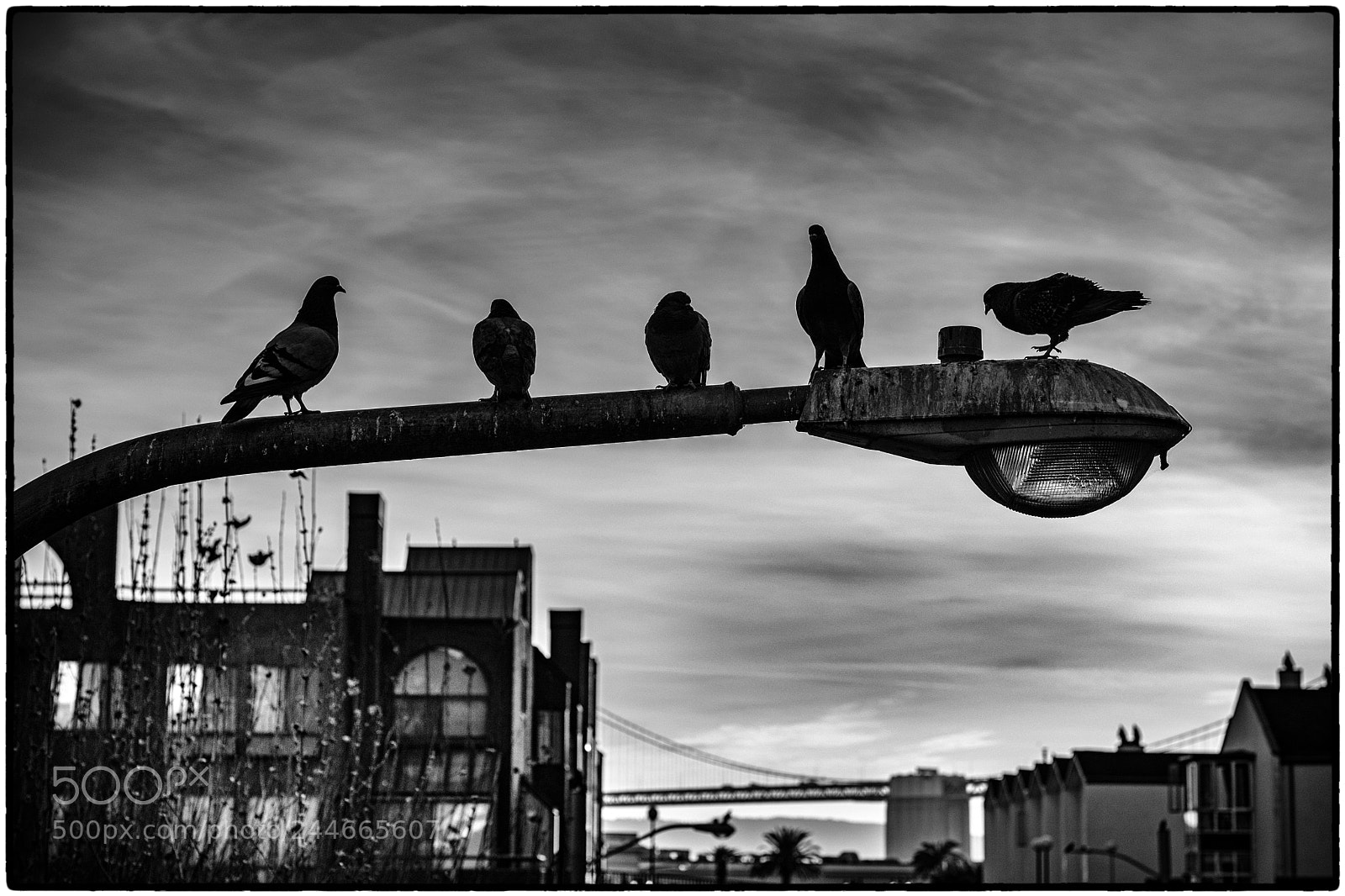 Fujifilm X-Pro2 sample photo. Untitled photography