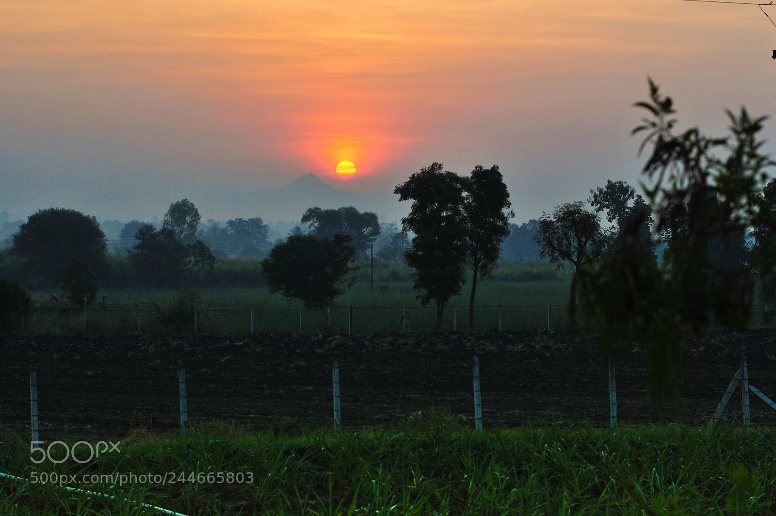 Nikon D3000 sample photo. Untitled photography