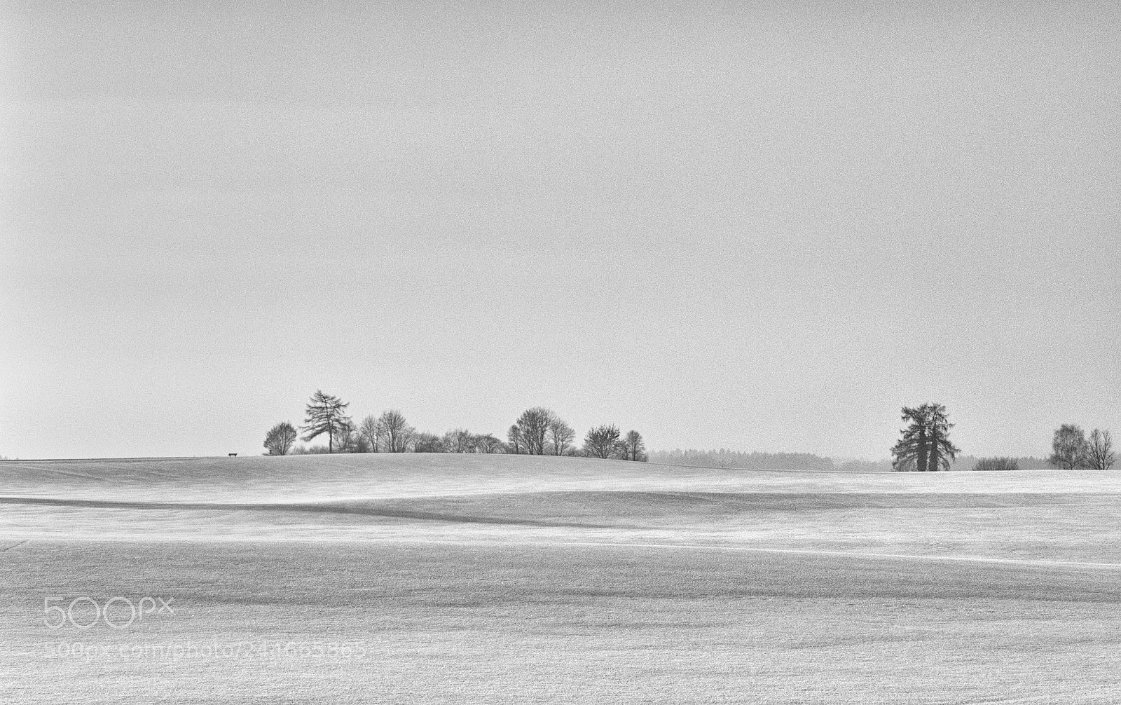 Panasonic Lumix DMC-FZ1000 sample photo. Wintersunset bw photography