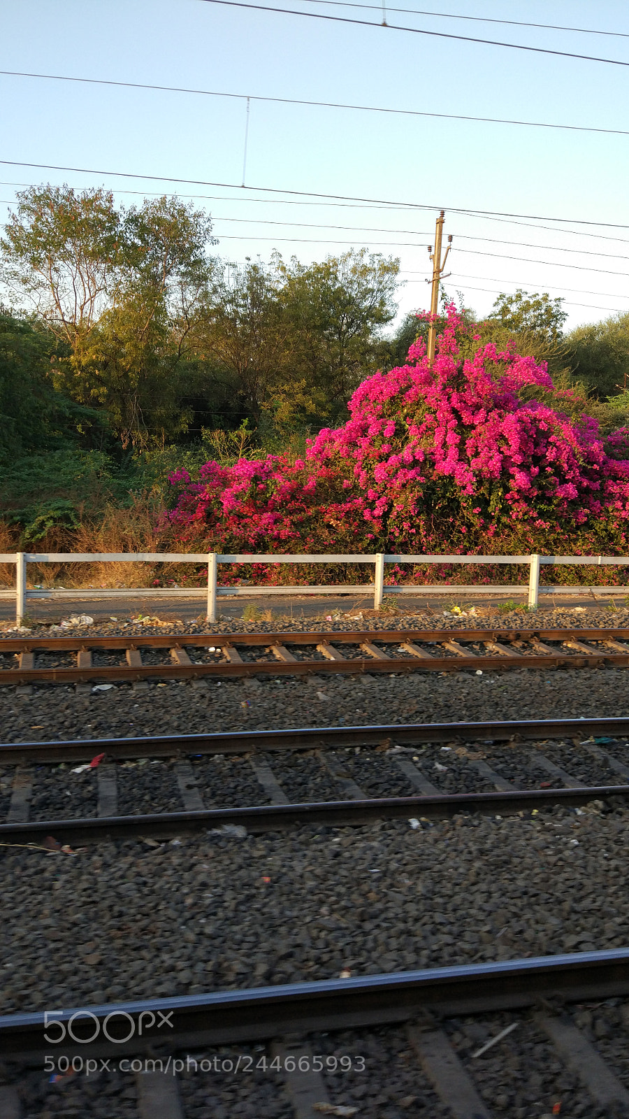 Xiaomi MI 5 sample photo. Untitled photography
