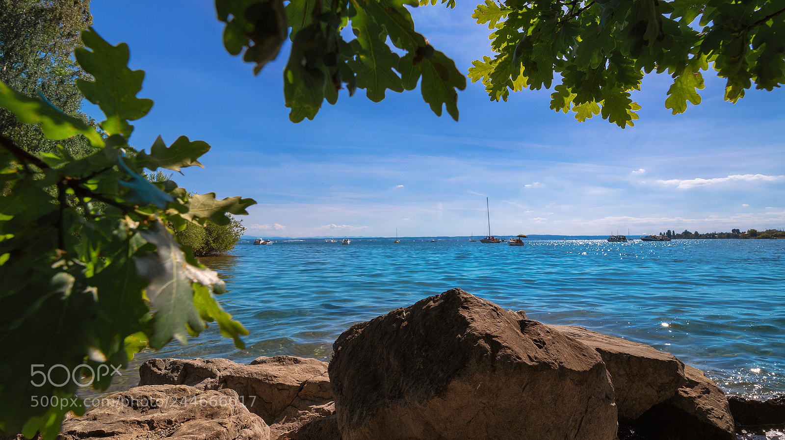 Sony a7 II sample photo. Summer day photography