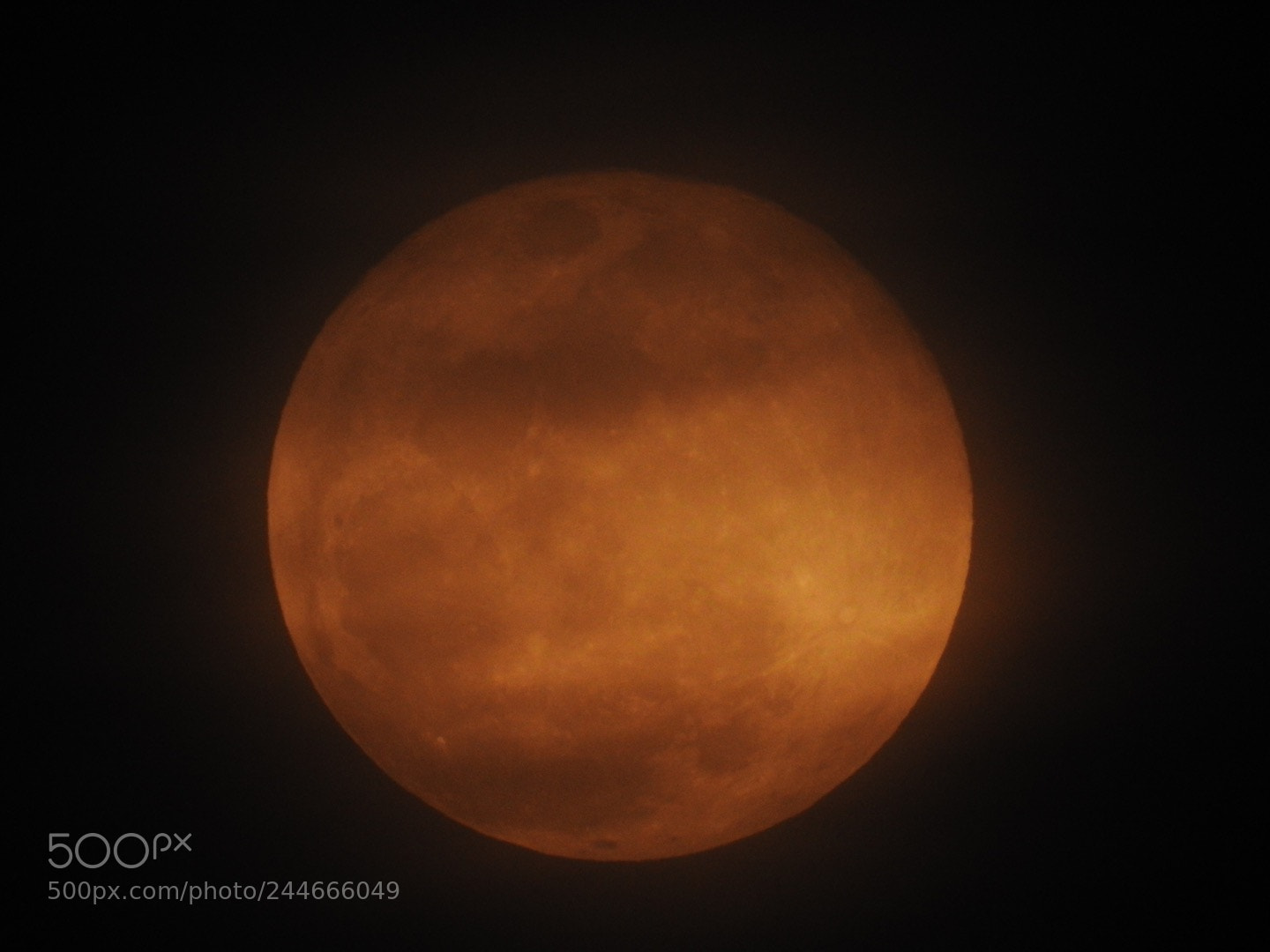 Nikon Coolpix P900 sample photo. Beautiful full moon with photography