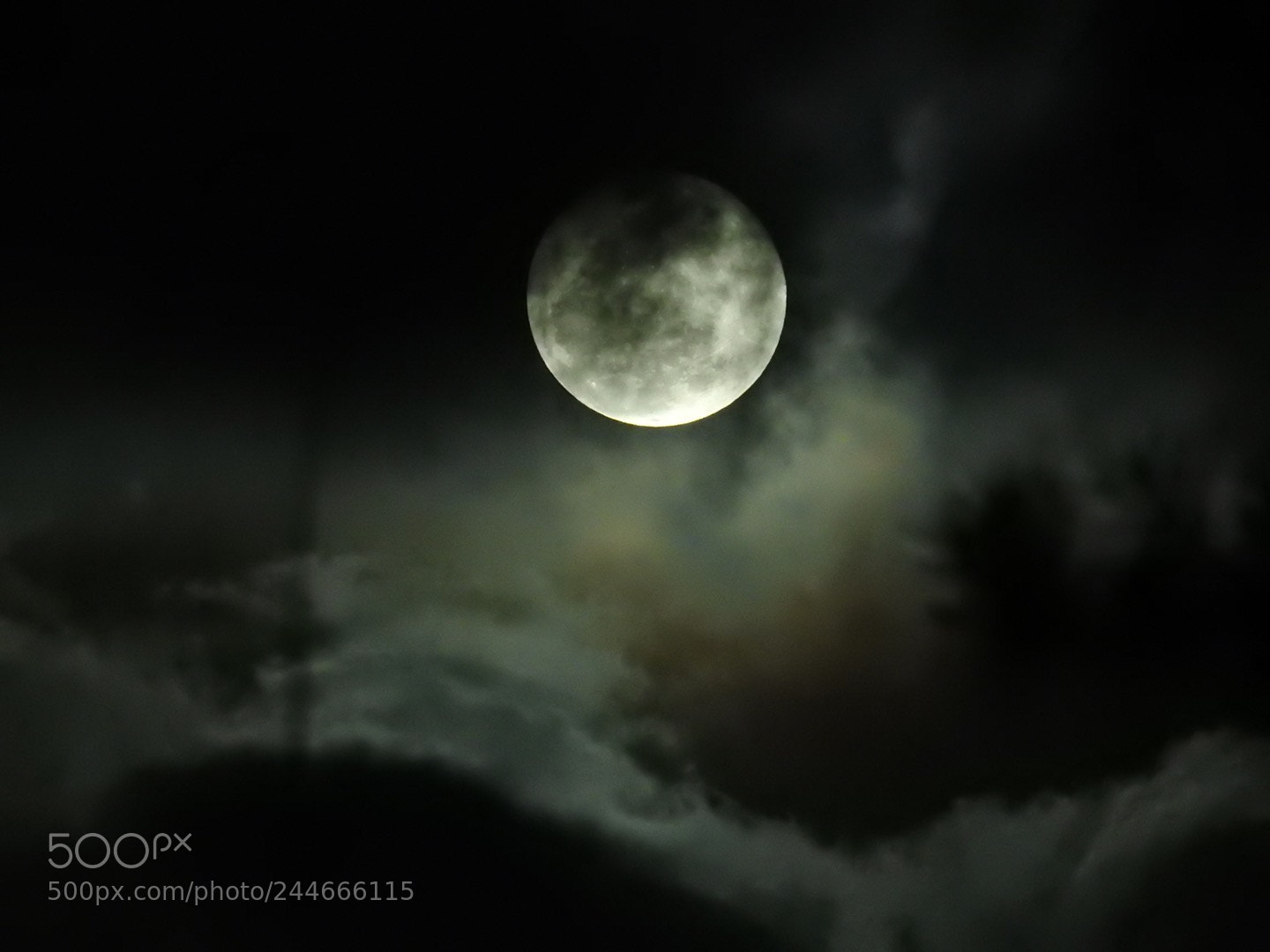 Nikon Coolpix P900 sample photo. Moon on a cloudy photography
