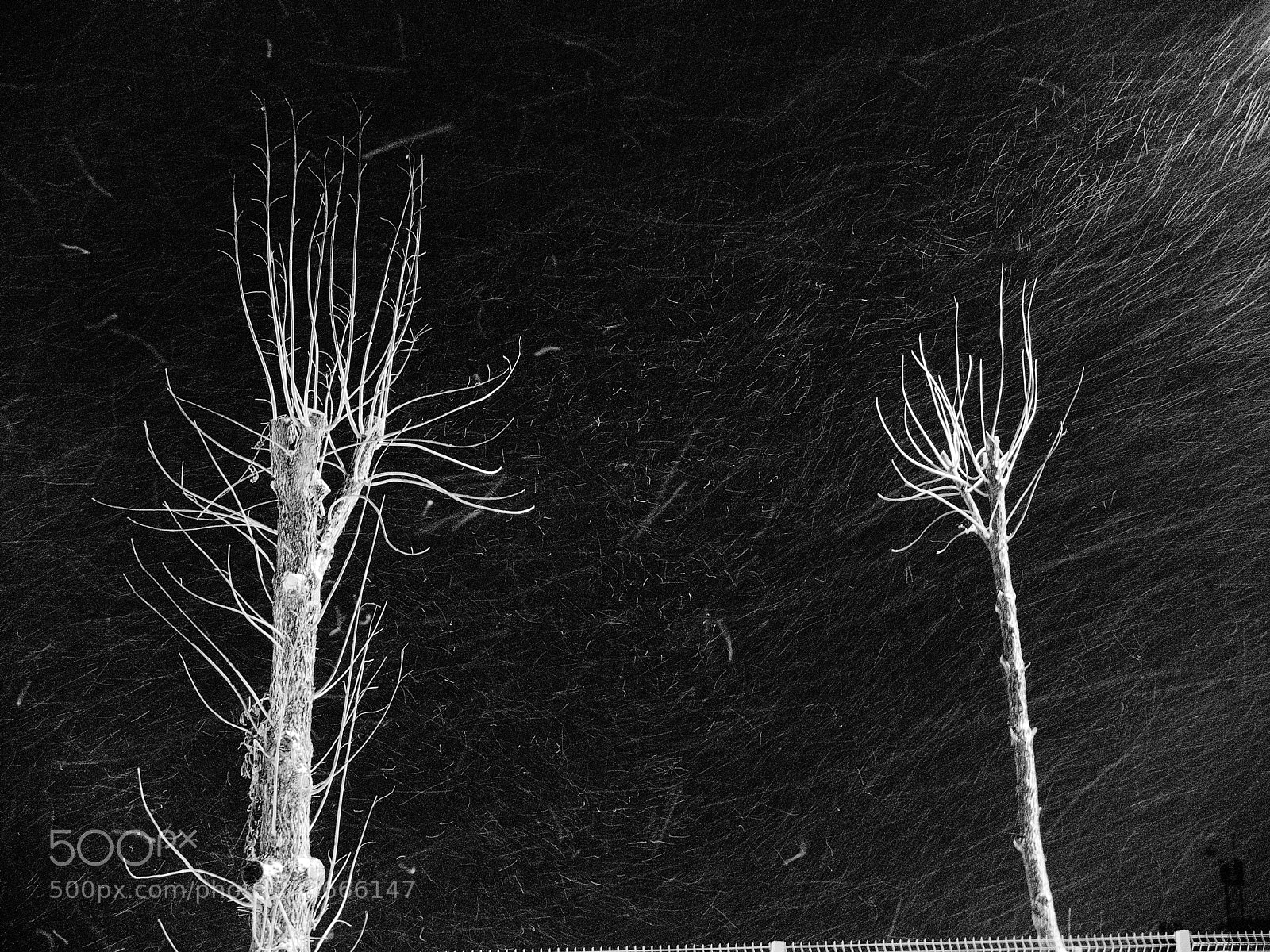 Fujifilm X30 sample photo. Winterabend photography