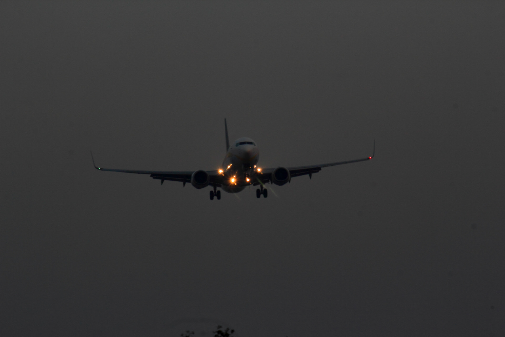 Canon EF-S 55-250mm F4-5.6 IS sample photo. Img photography