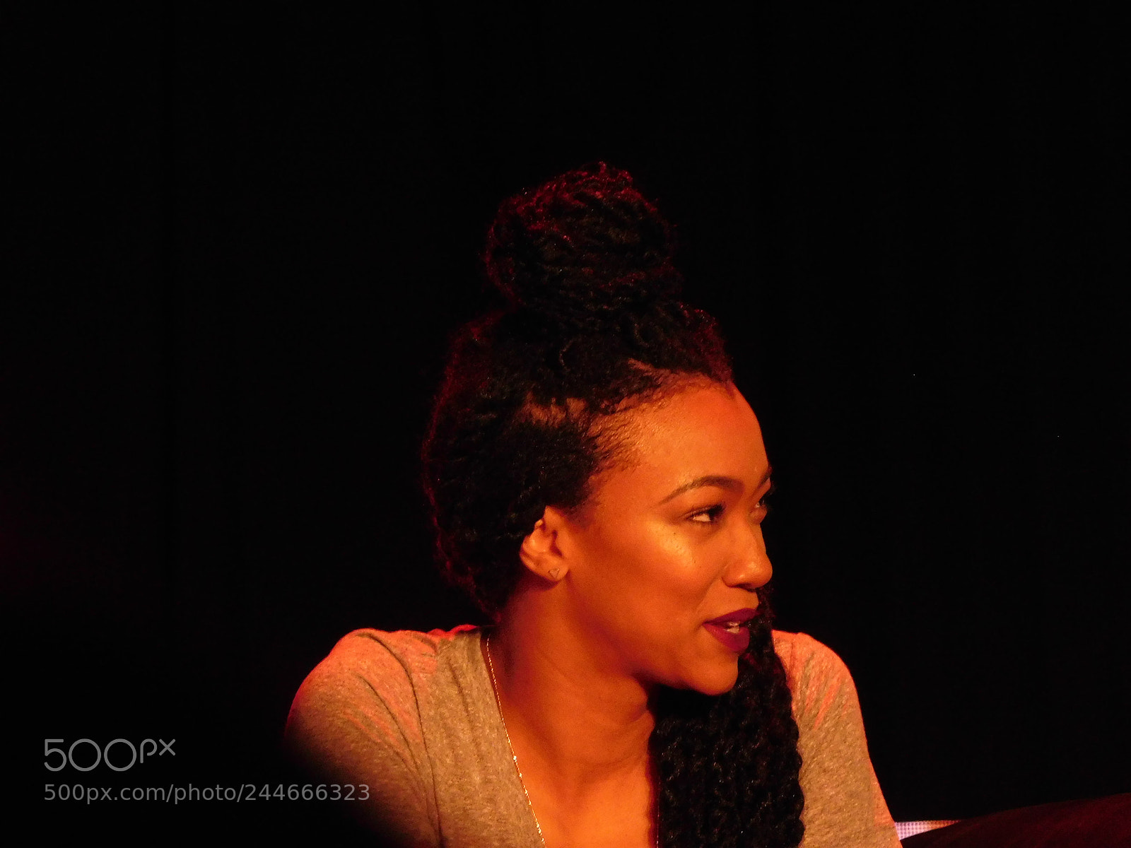 Nikon Coolpix L840 sample photo. Sonequa martin-green 1 photography