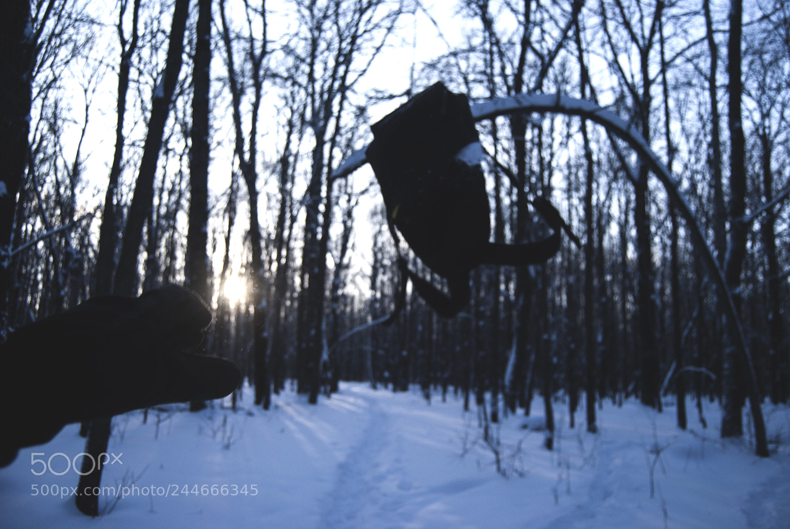 Nikon D3000 sample photo. Into the wild photography