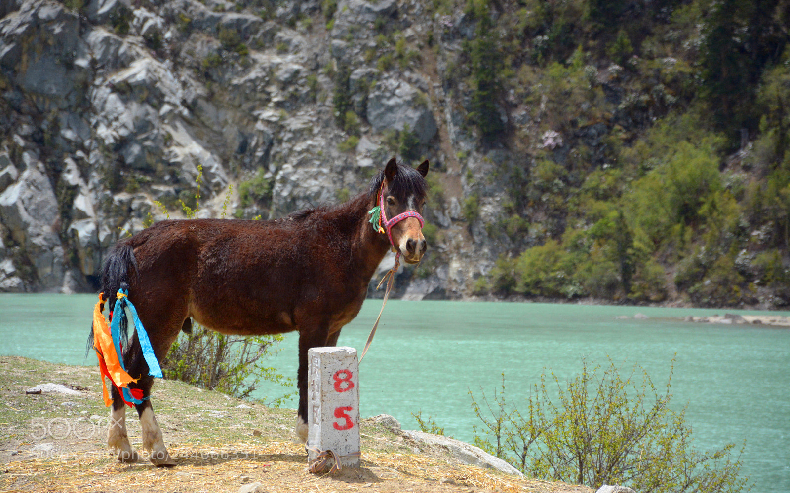 Nikon D7100 sample photo. Ranwu lake photography