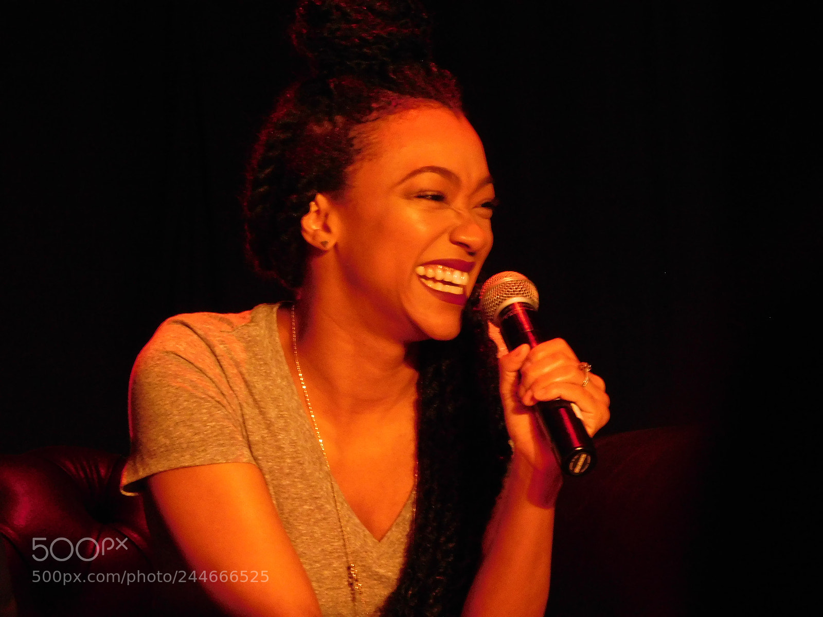 Nikon Coolpix L840 sample photo. Sonequa martin-green 3 photography