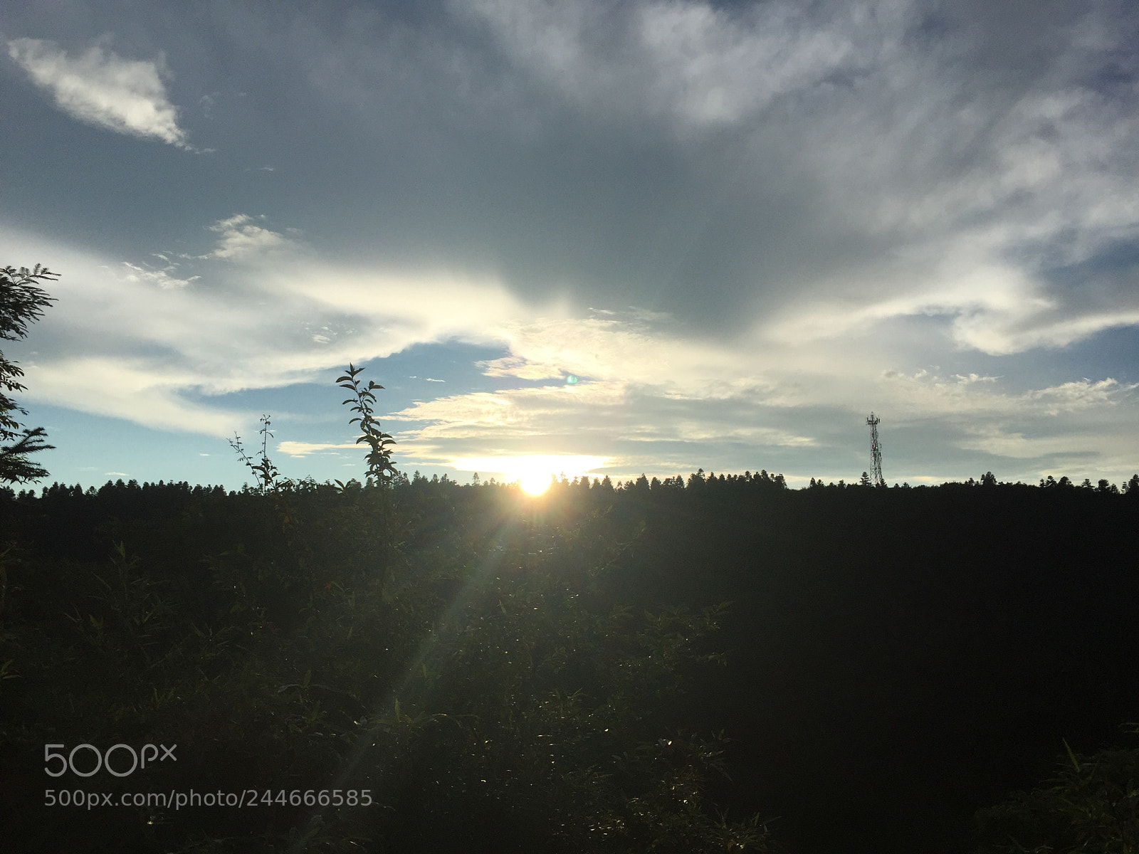 Apple iPhone 6 sample photo. Untitled photography
