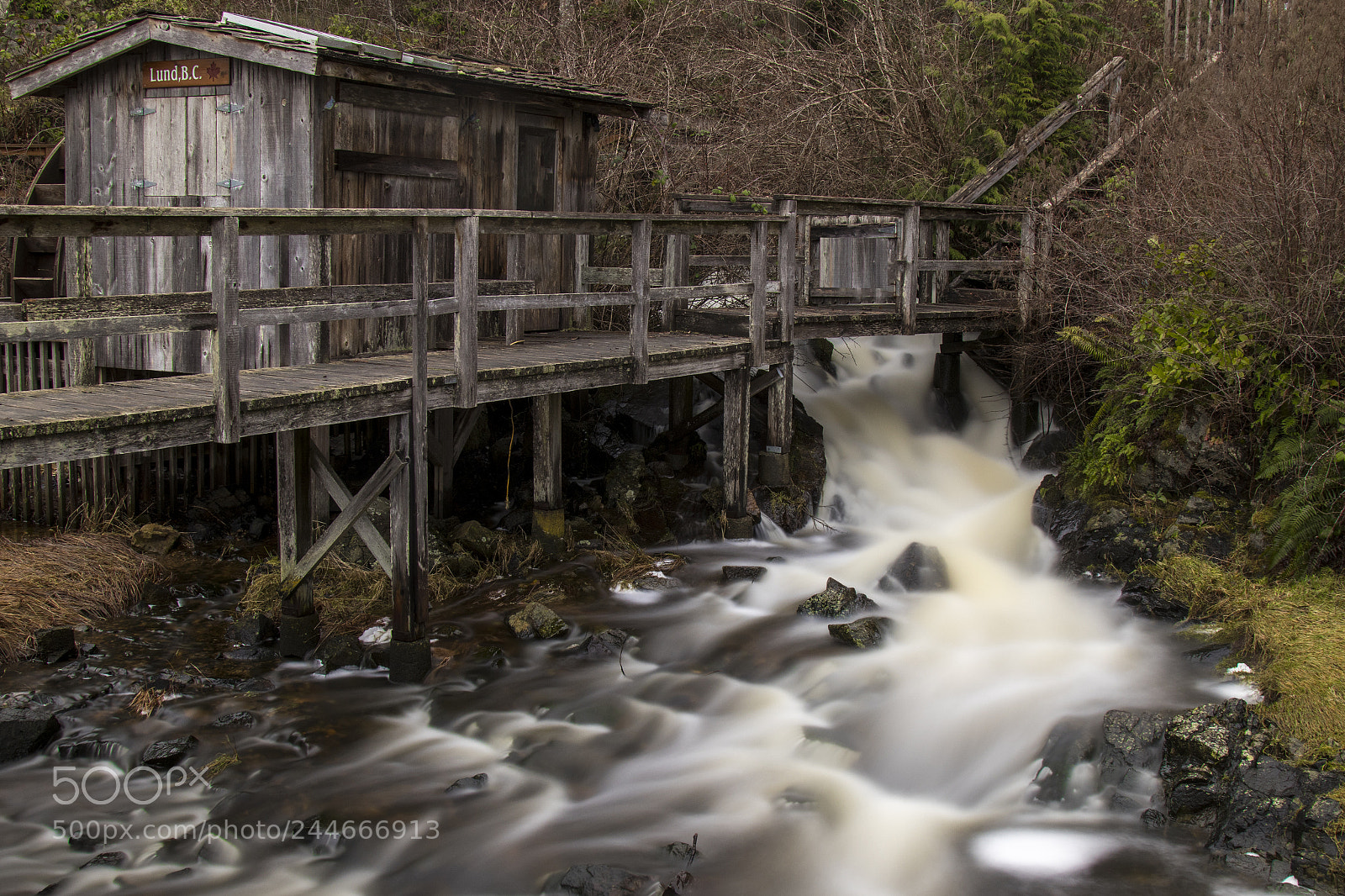 Canon EOS M5 sample photo. Lund, bc photography