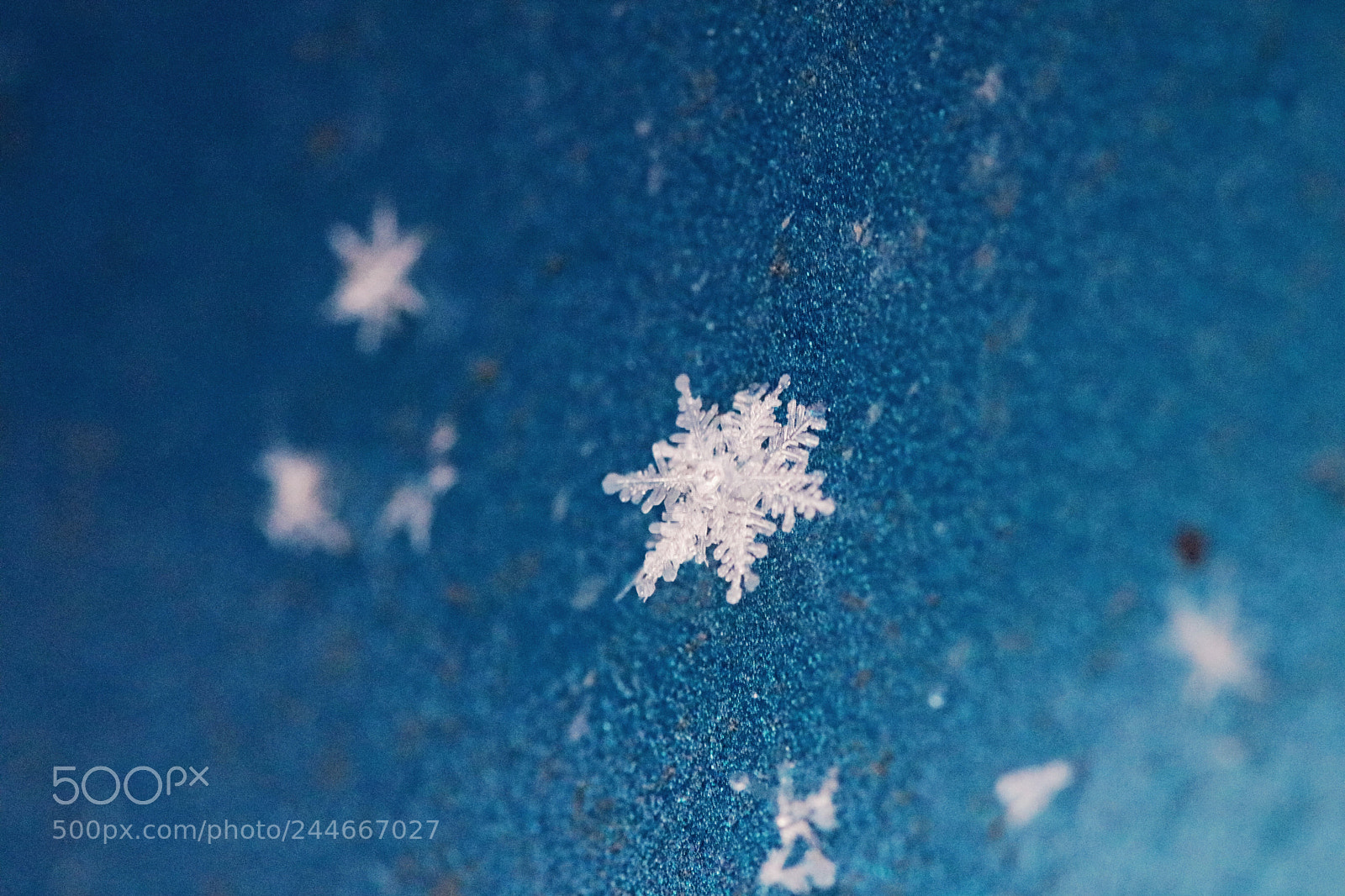 Canon EOS 750D (EOS Rebel T6i / EOS Kiss X8i) sample photo. Snowflake photography