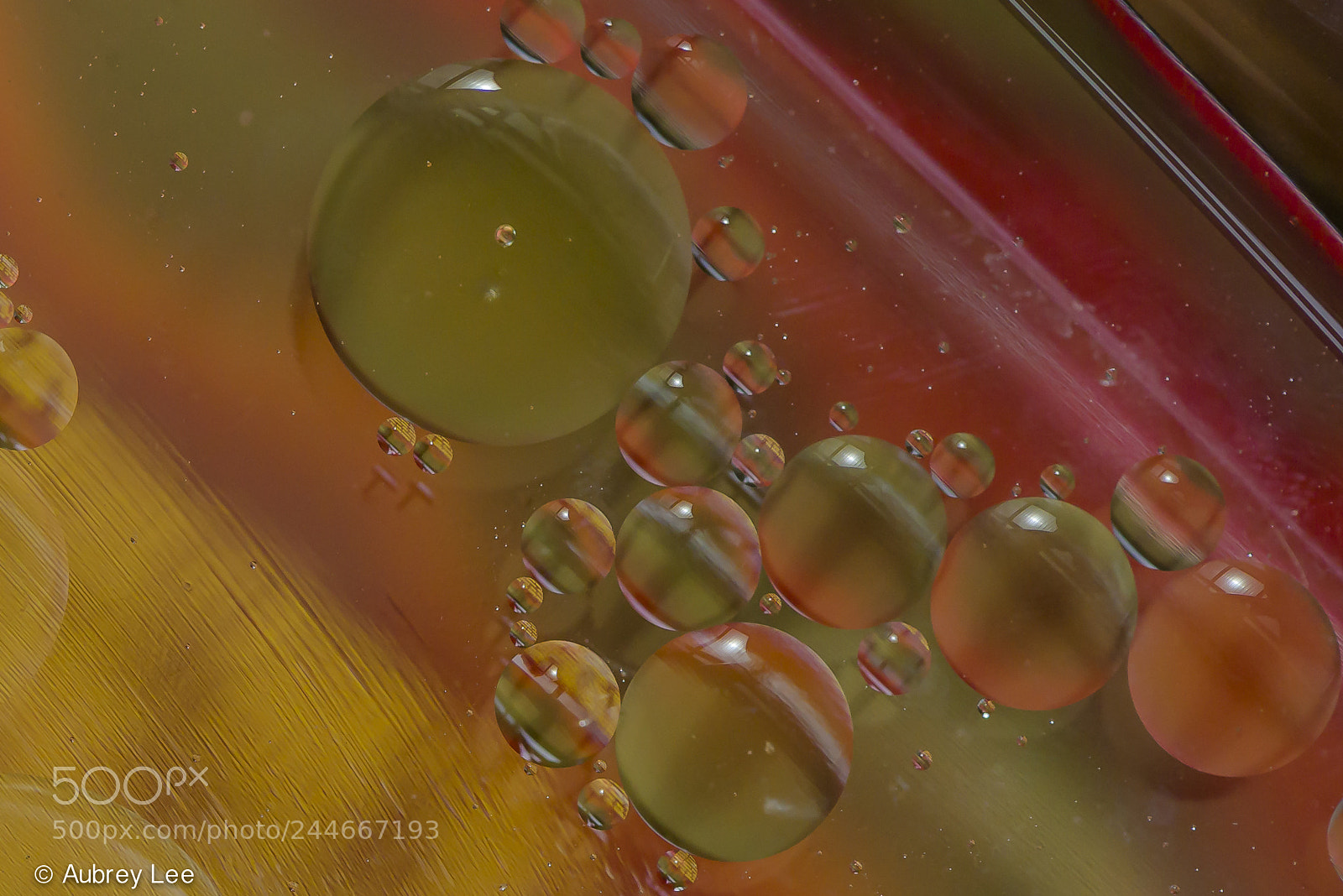 Nikon D610 sample photo. Mix and match photography