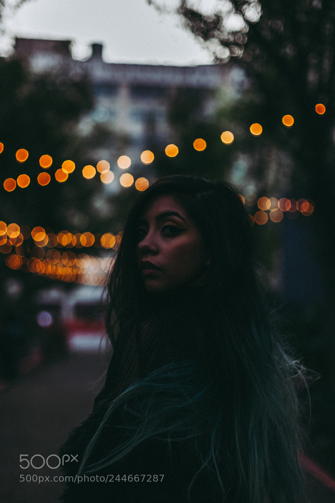 Canon EOS 5D sample photo. It's getting dark photography