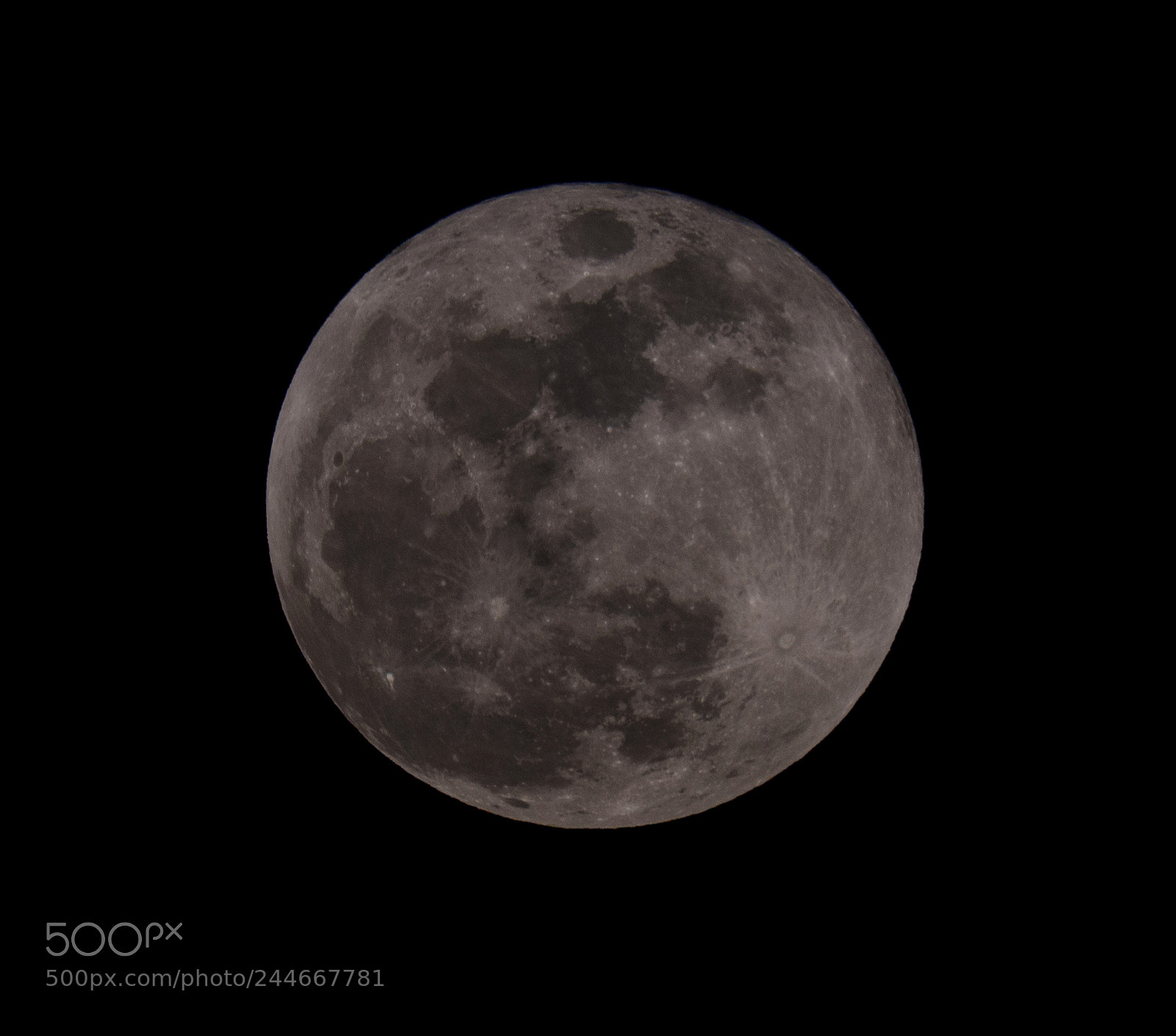 Nikon D500 sample photo. Super luna azul de photography