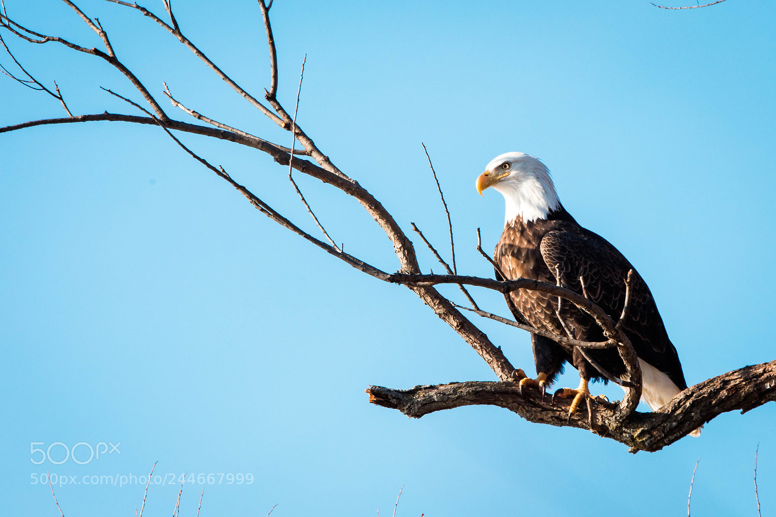 Canon EOS 5DS R sample photo. Dsr photography