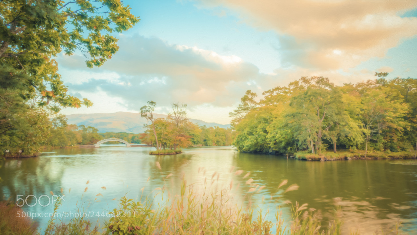 Sony a7 II sample photo. Japan autumn photography
