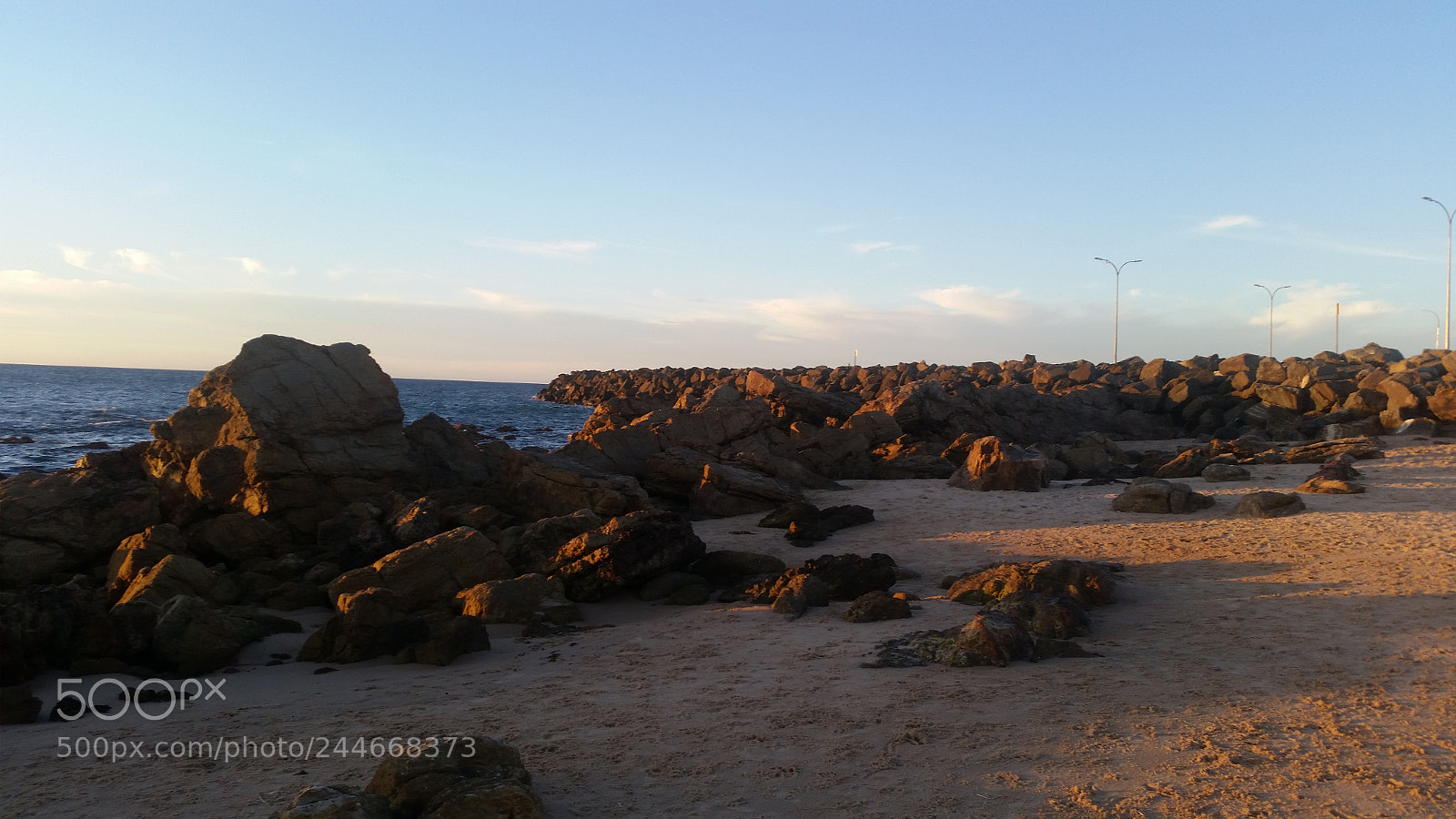 Samsung Galaxy S5 sample photo. Untitled photography