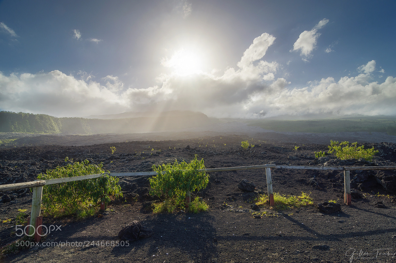 Nikon D7200 sample photo. The volcanic road photography