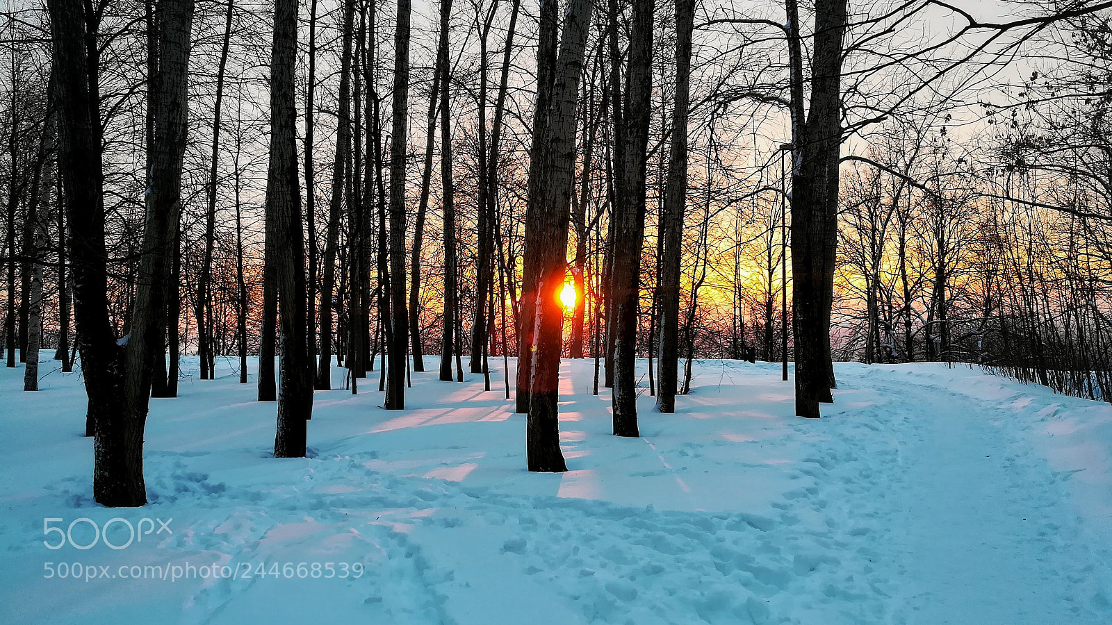 HUAWEI honor 6x sample photo. Winter sunset photography