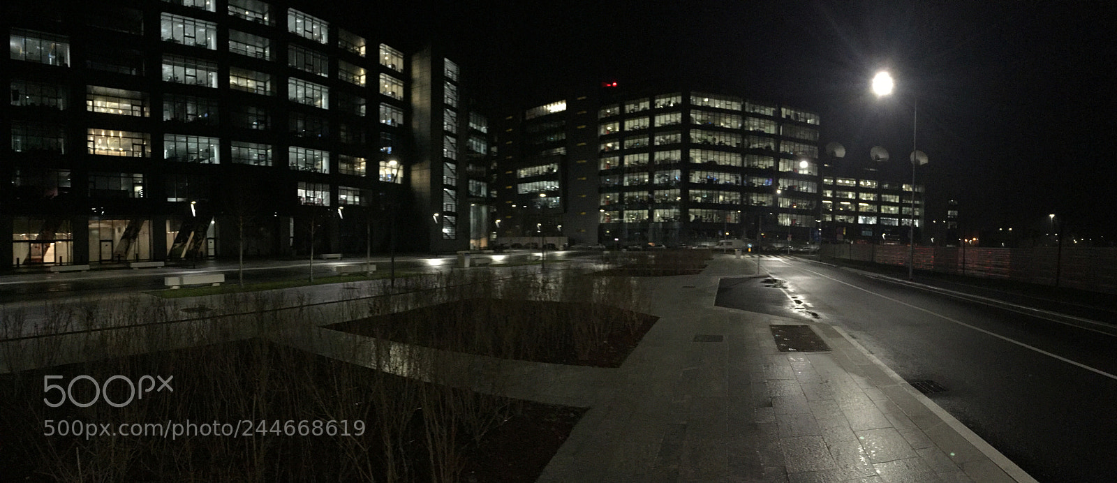 Apple iPhone 6 sample photo. Loliness photography