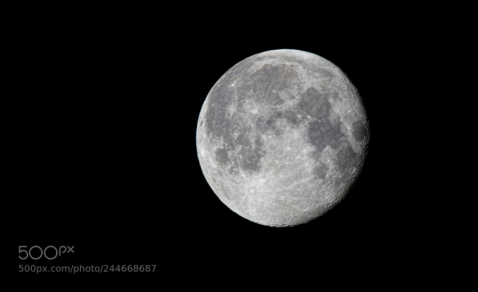 Sony ILCA-77M2 sample photo. Luna photography