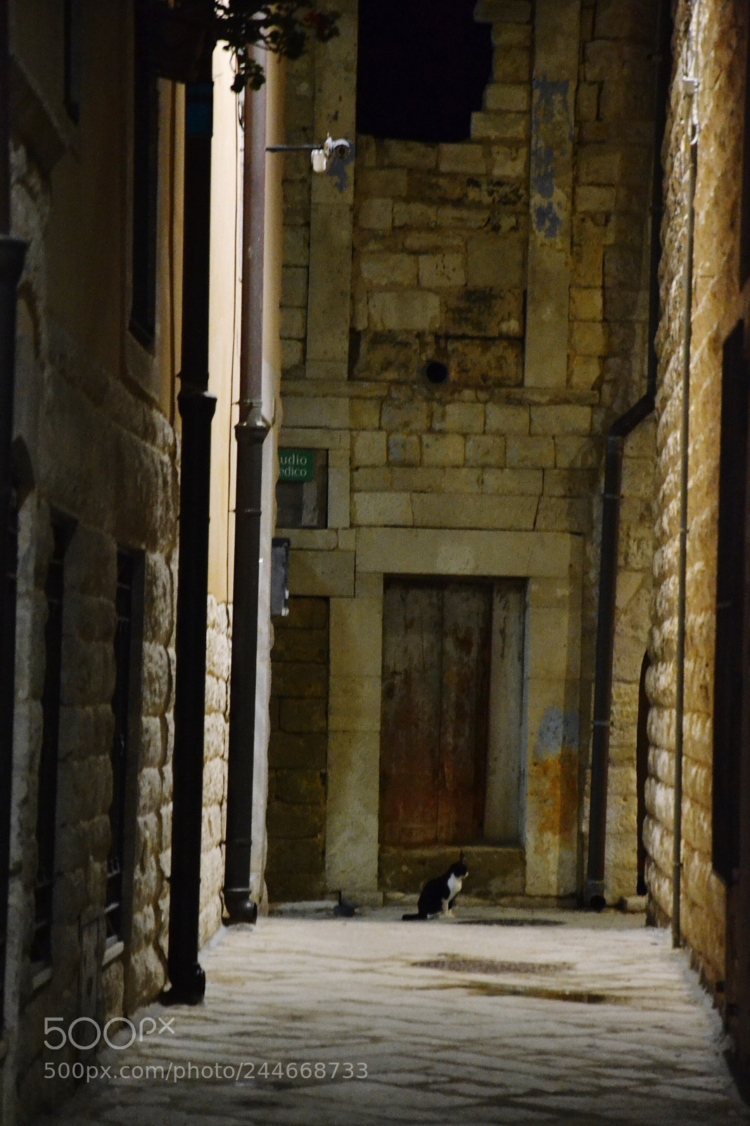Nikon D3100 sample photo. Untitled photography