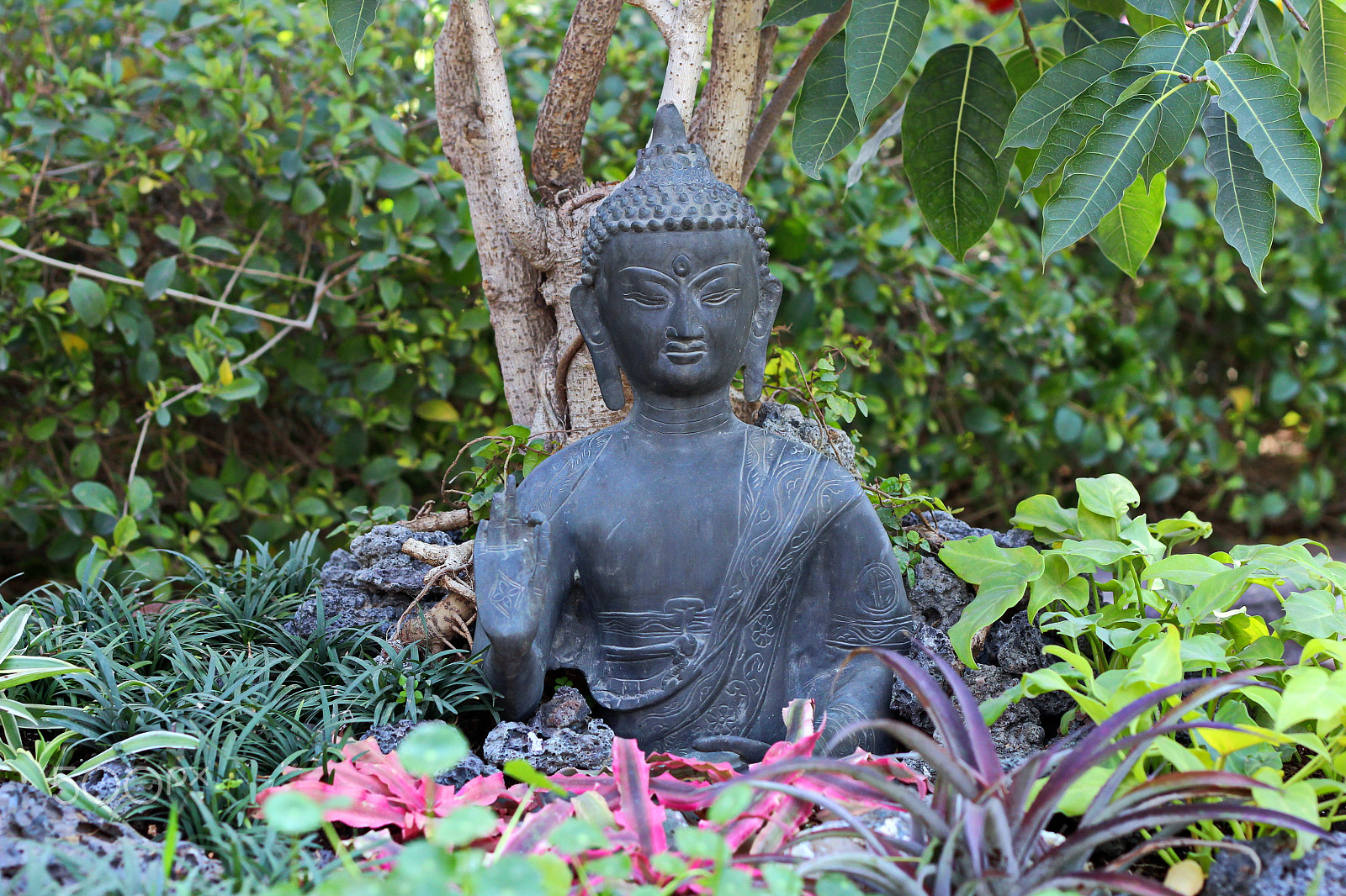 Canon EOS 1200D (EOS Rebel T5 / EOS Kiss X70 / EOS Hi) + Canon EF 50mm F1.8 II sample photo. Gautama buddha photography