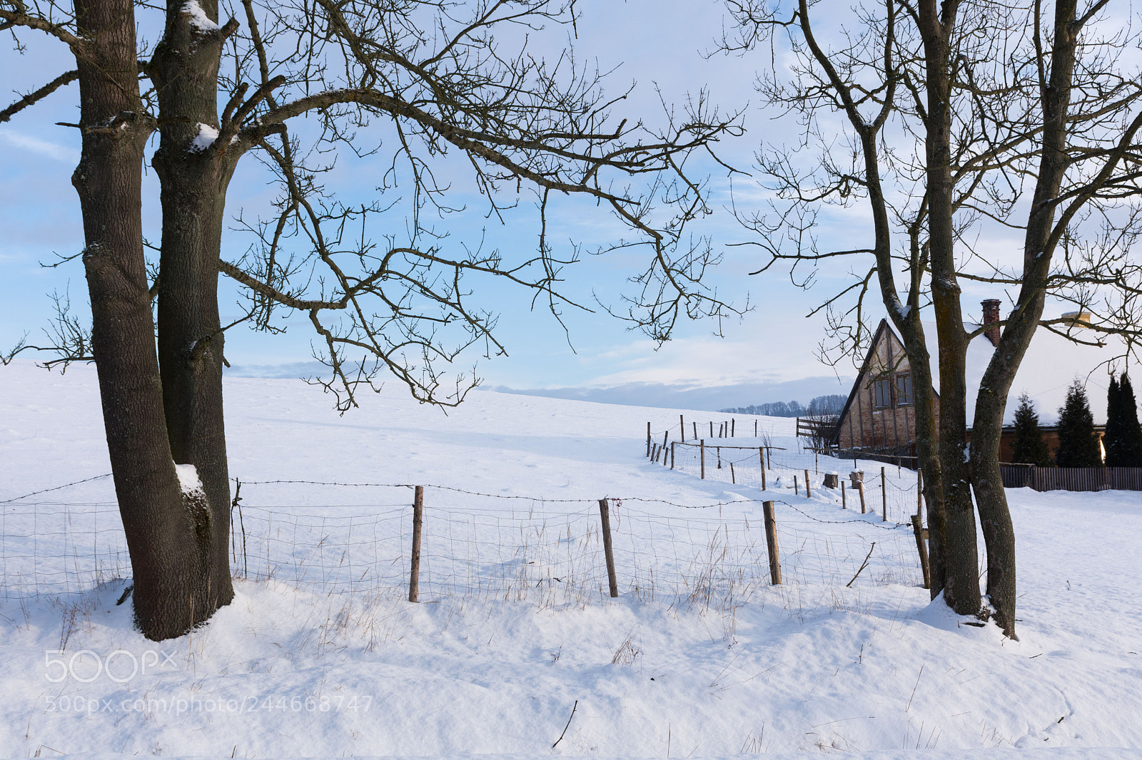 Nikon D7200 sample photo. Winter photography