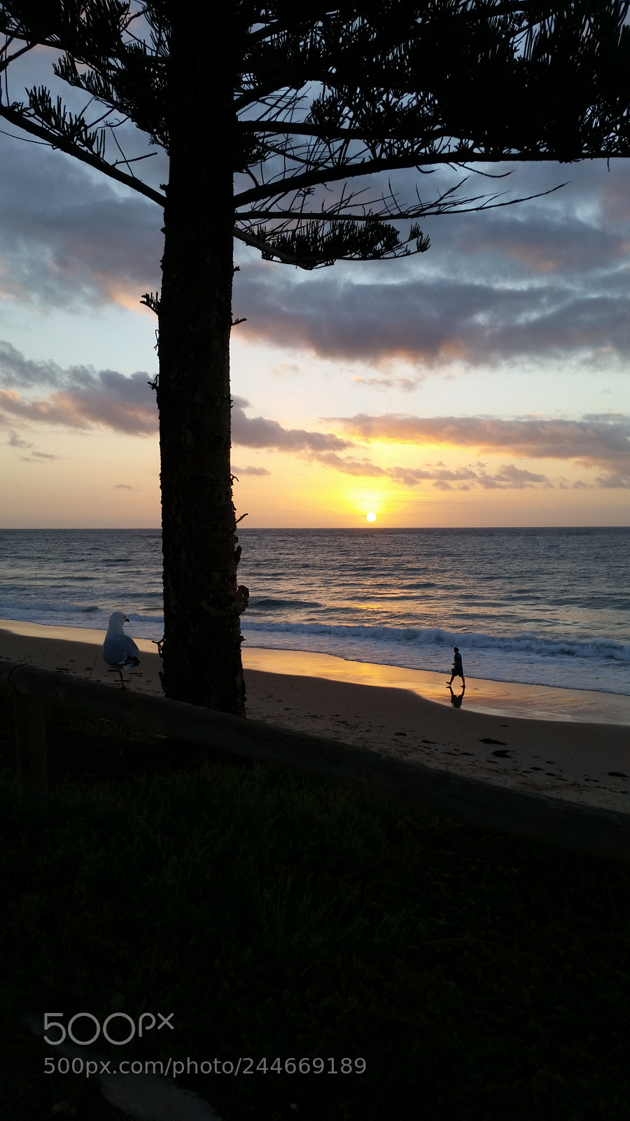Samsung Galaxy S5 sample photo. Untitled photography