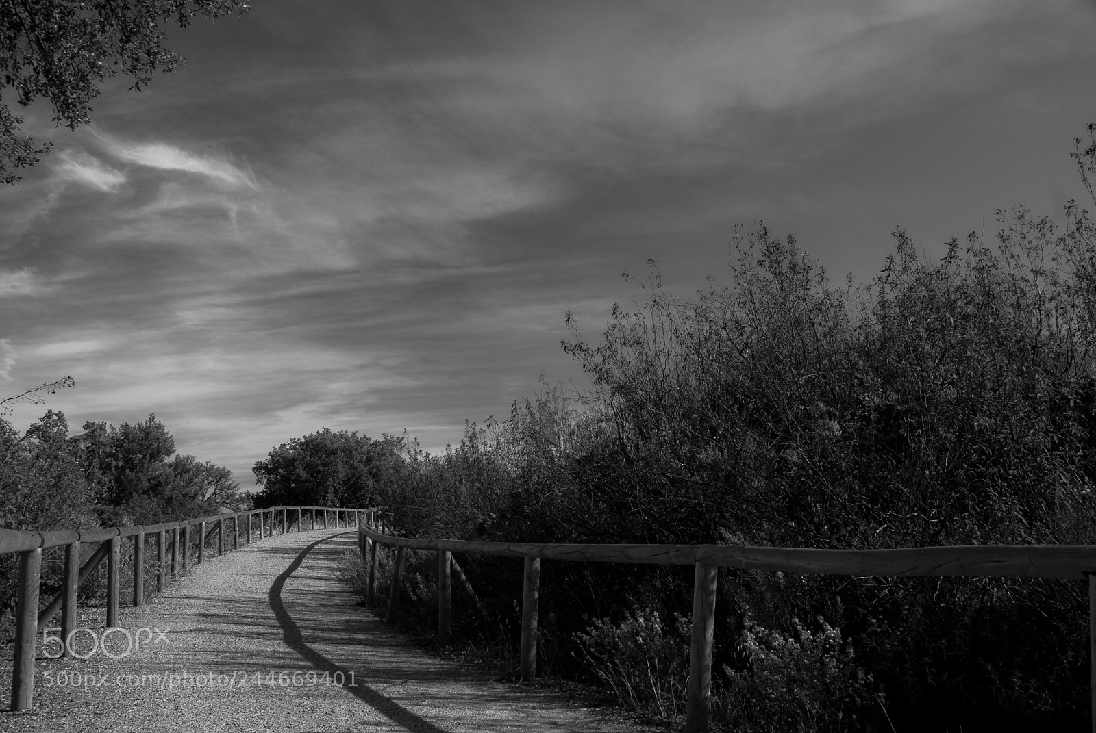 Sony Alpha DSLR-A200 sample photo. Cerro del hierro 4 photography