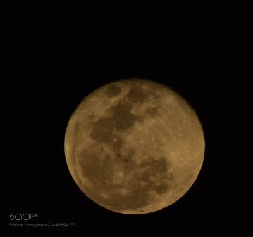 Nikon D7200 sample photo. Untitled photography