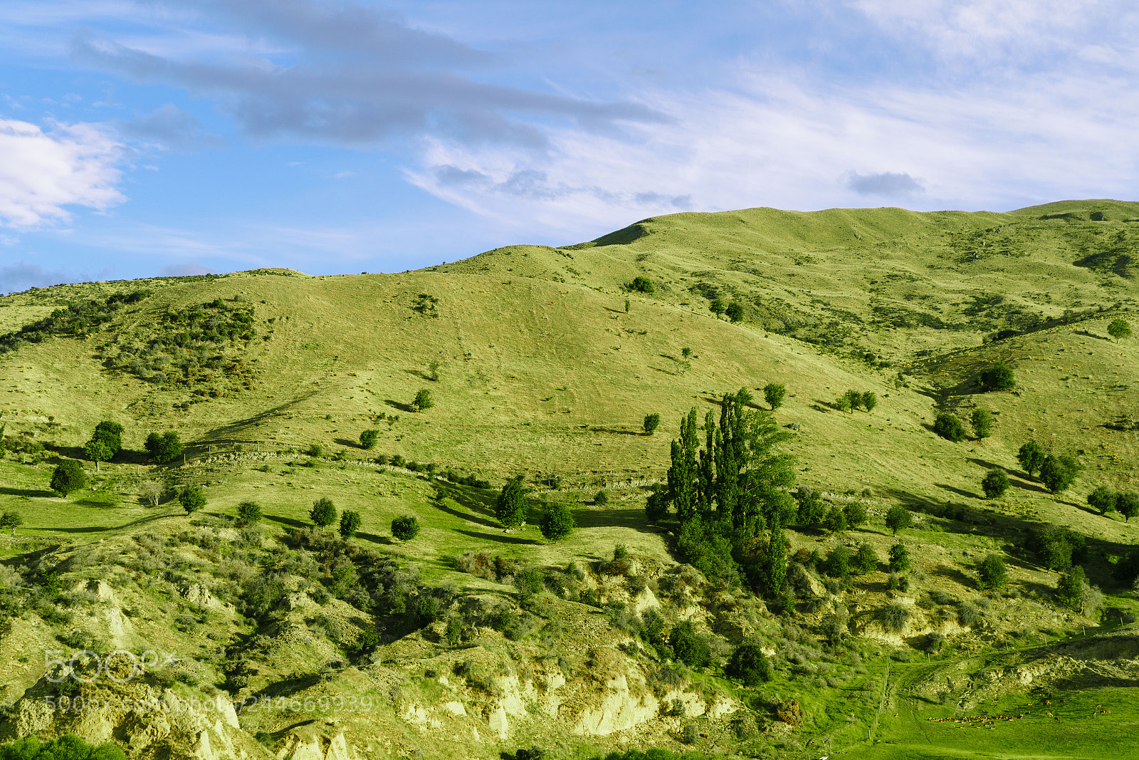 Sony a9 sample photo. Cadrona photography