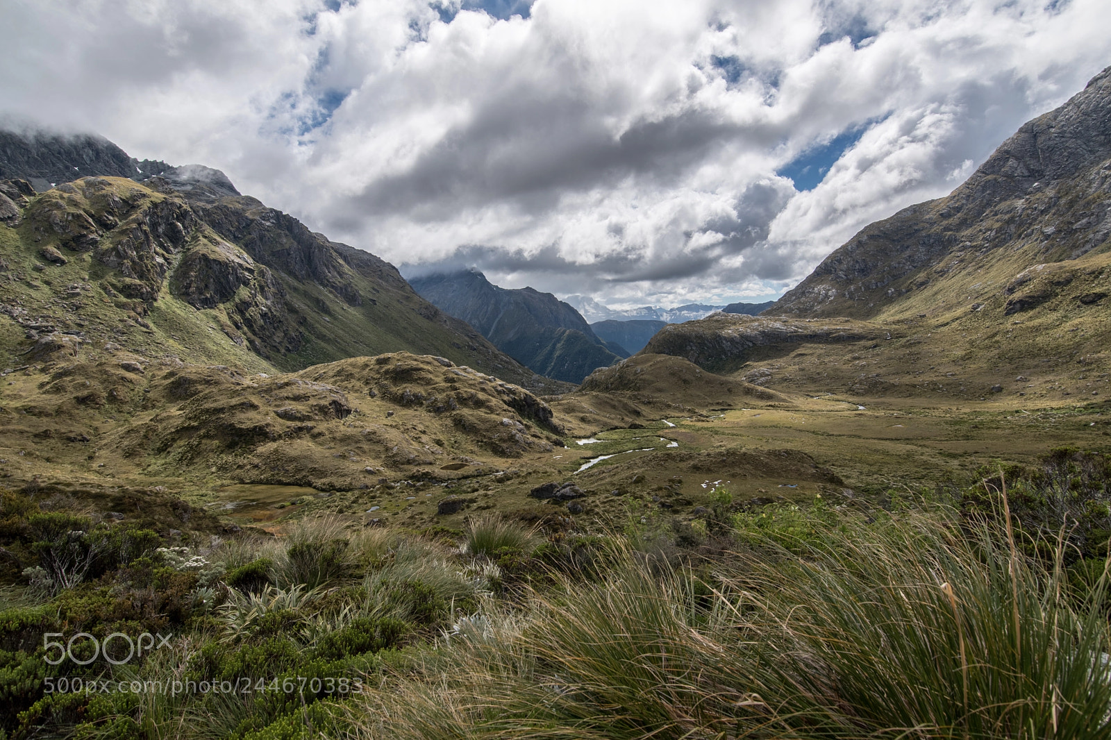 Nikon D5500 sample photo. View from the routeburn photography