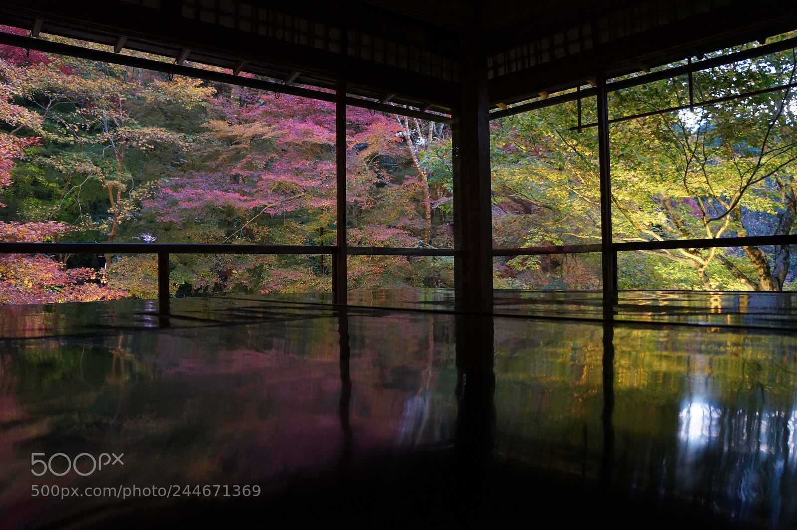 Sony Alpha NEX-5N sample photo. Rurikoin photography