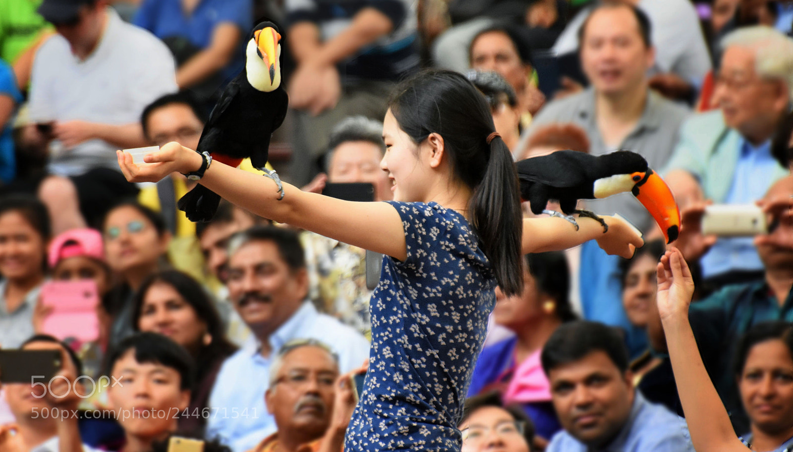 Nikon D7200 sample photo. High flyers show, jurong photography
