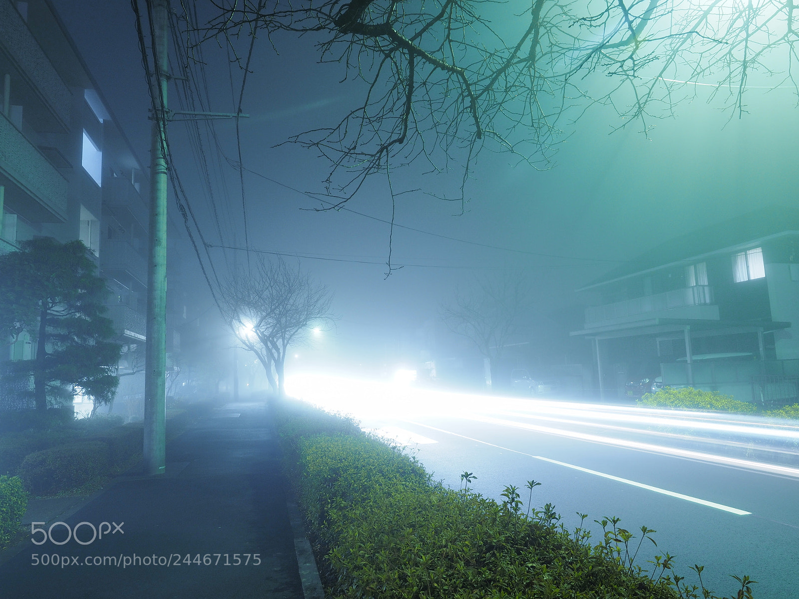 Olympus OM-D E-M1 sample photo. Night fog photography