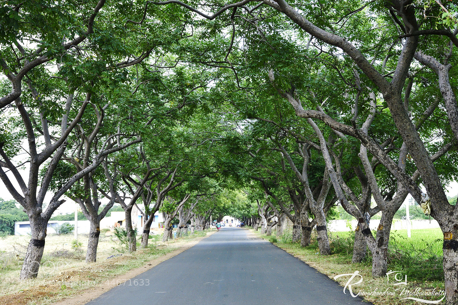Nikon D500 sample photo. Landscape - on the photography