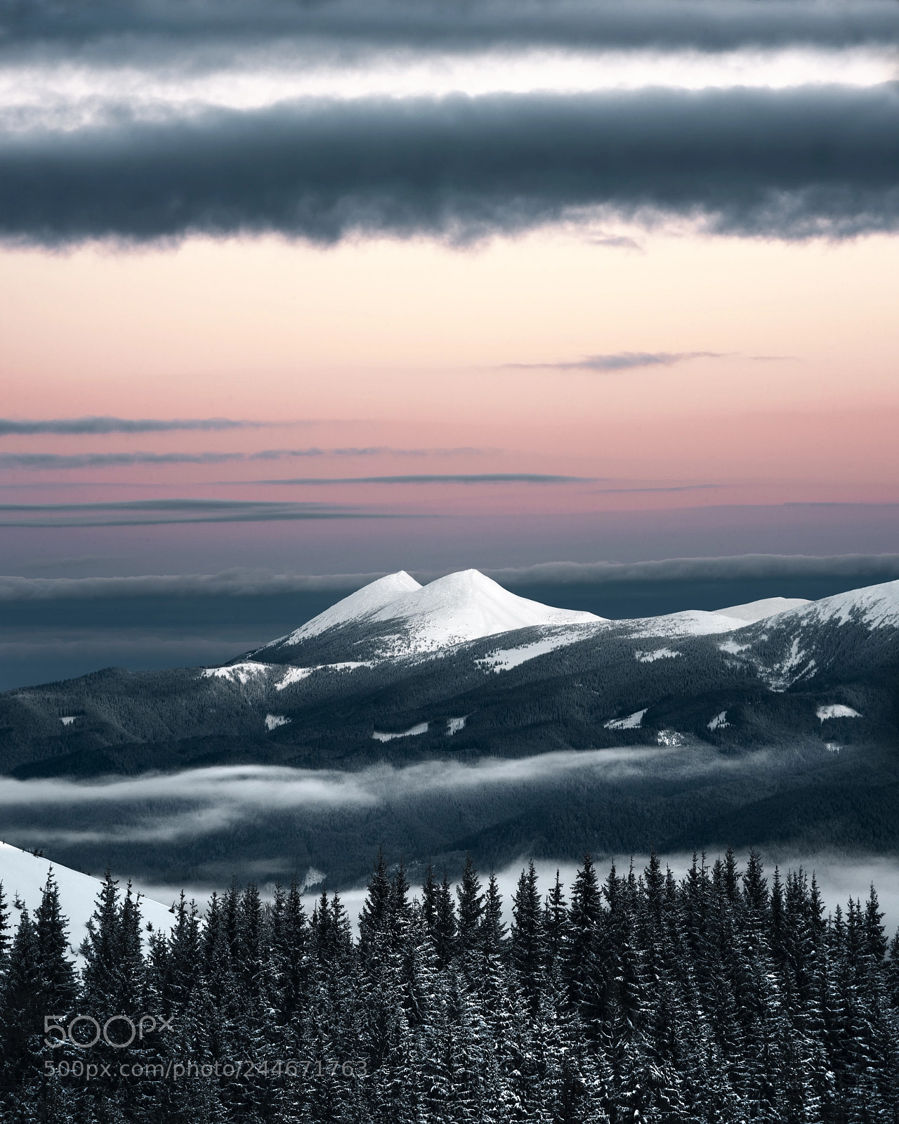 Nikon D800 sample photo. Gorgany mountain range photography