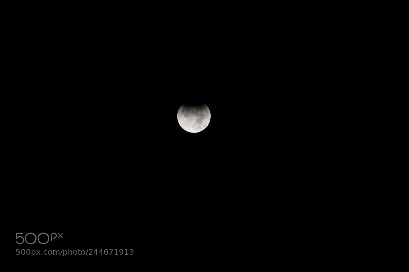 Nikon D610 sample photo. Lunar eclipse during super photography