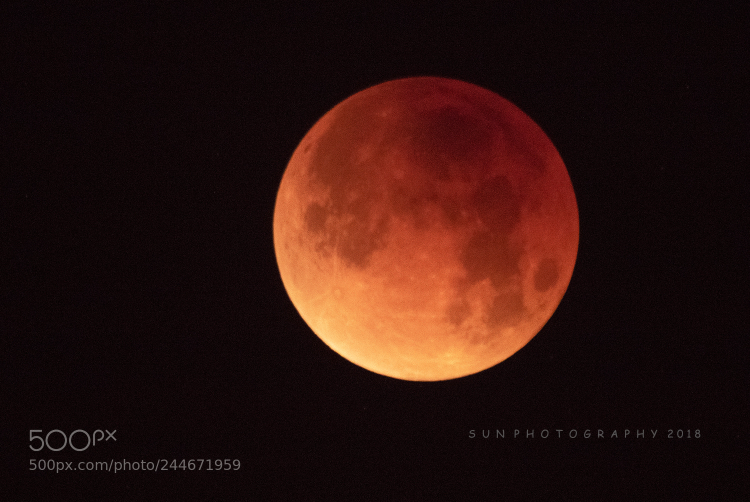 Canon EOS 7D Mark II sample photo. Untitled photography