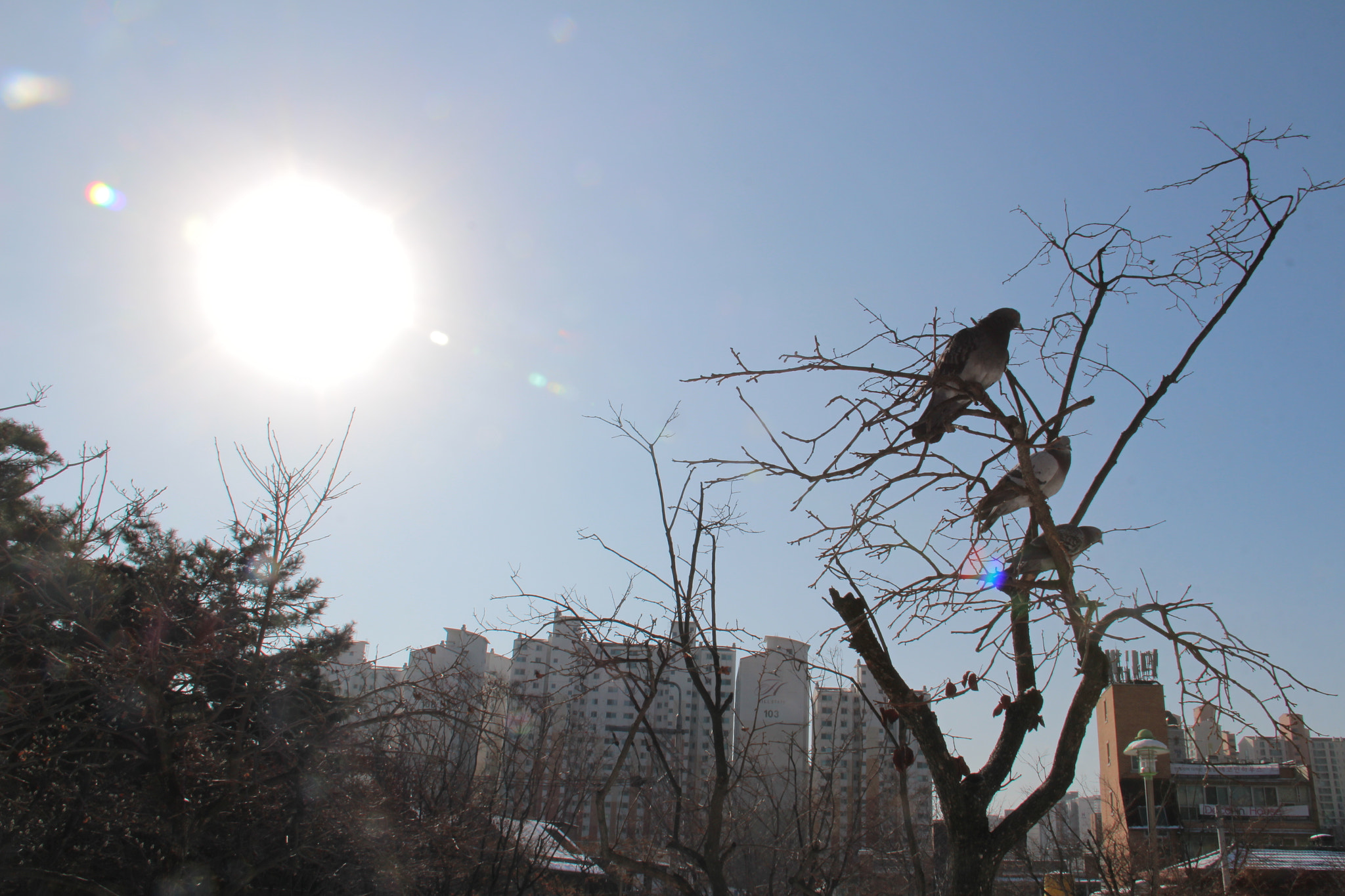 Canon EF-S 18-200mm F3.5-5.6 IS sample photo. Img photography