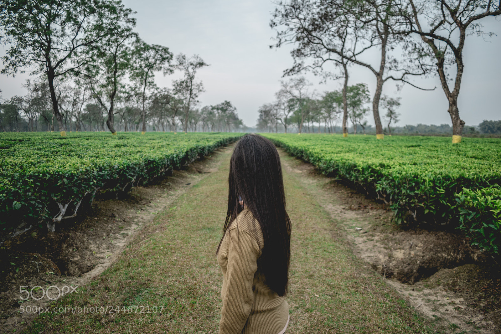 Nikon D5500 sample photo. Peace photography