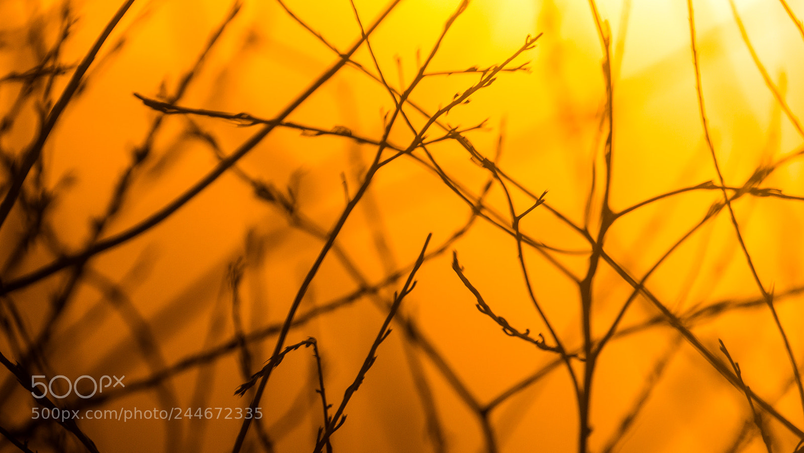 Sony Alpha NEX-7 sample photo. Sunset photography