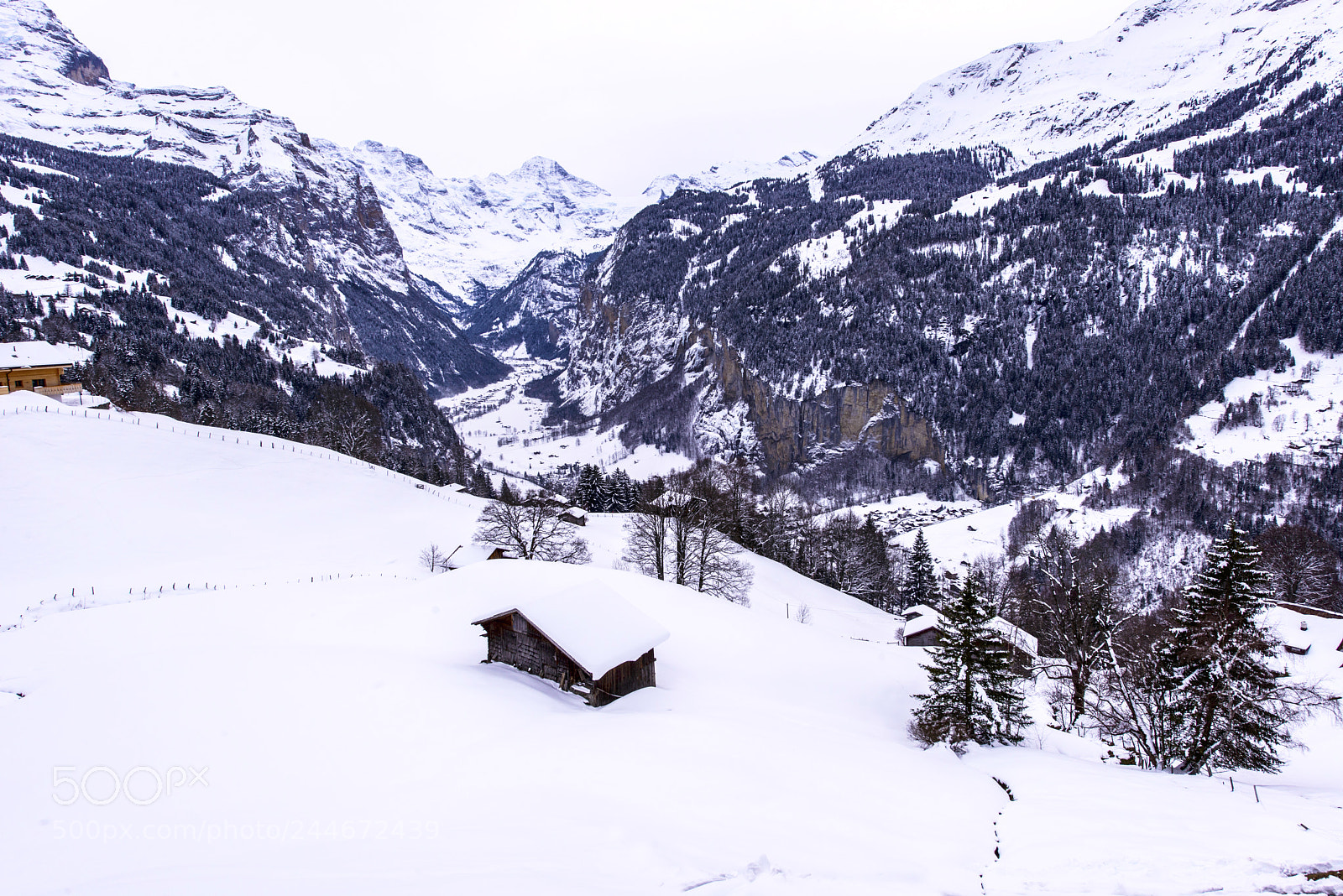 Nikon D800 sample photo. Jungfrau, top of europe photography