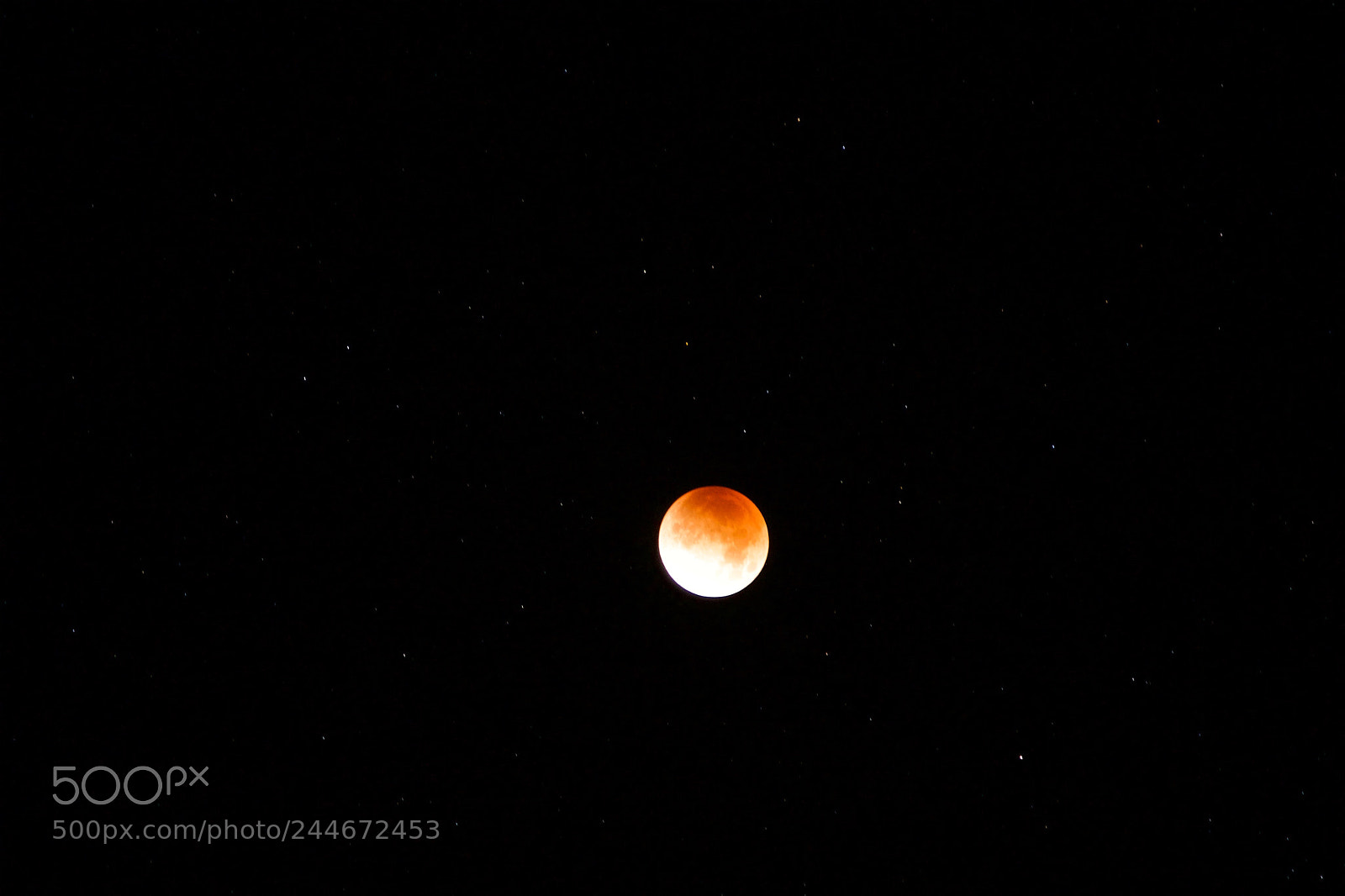 Nikon D610 sample photo. Blood moon photography