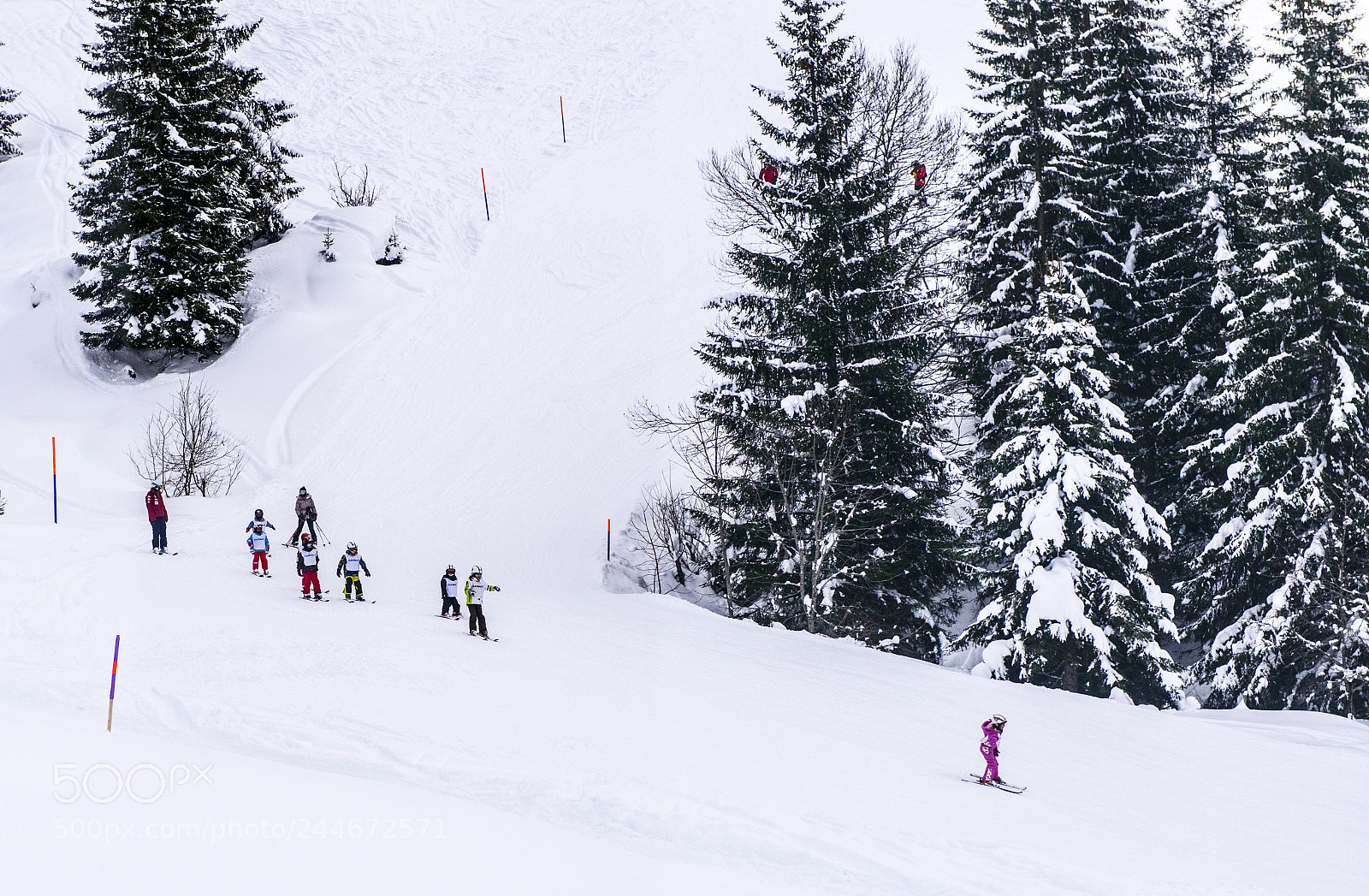 Nikon D800 sample photo. Jungfrau photography