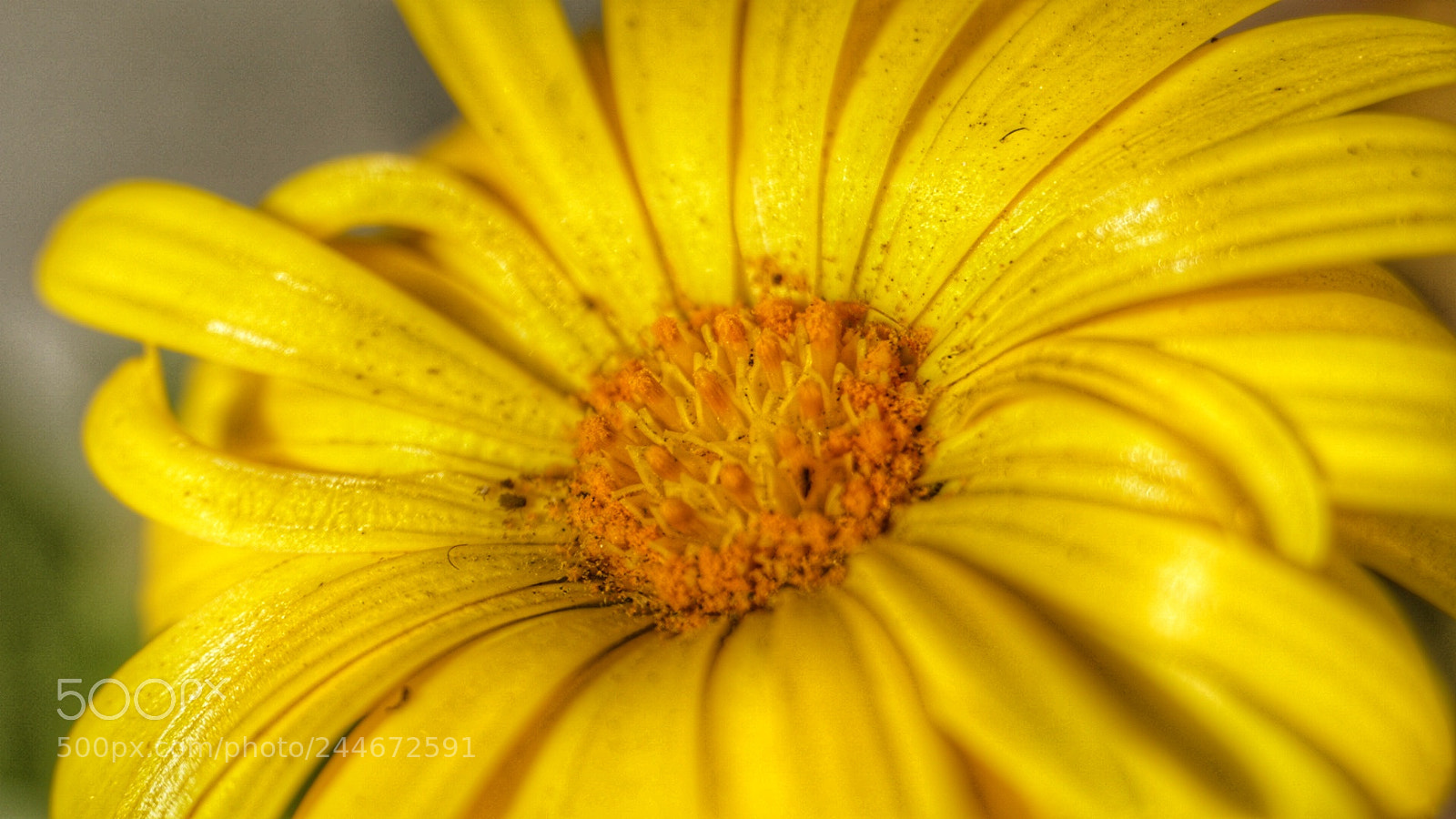 Sony a6300 sample photo. Brightest photography
