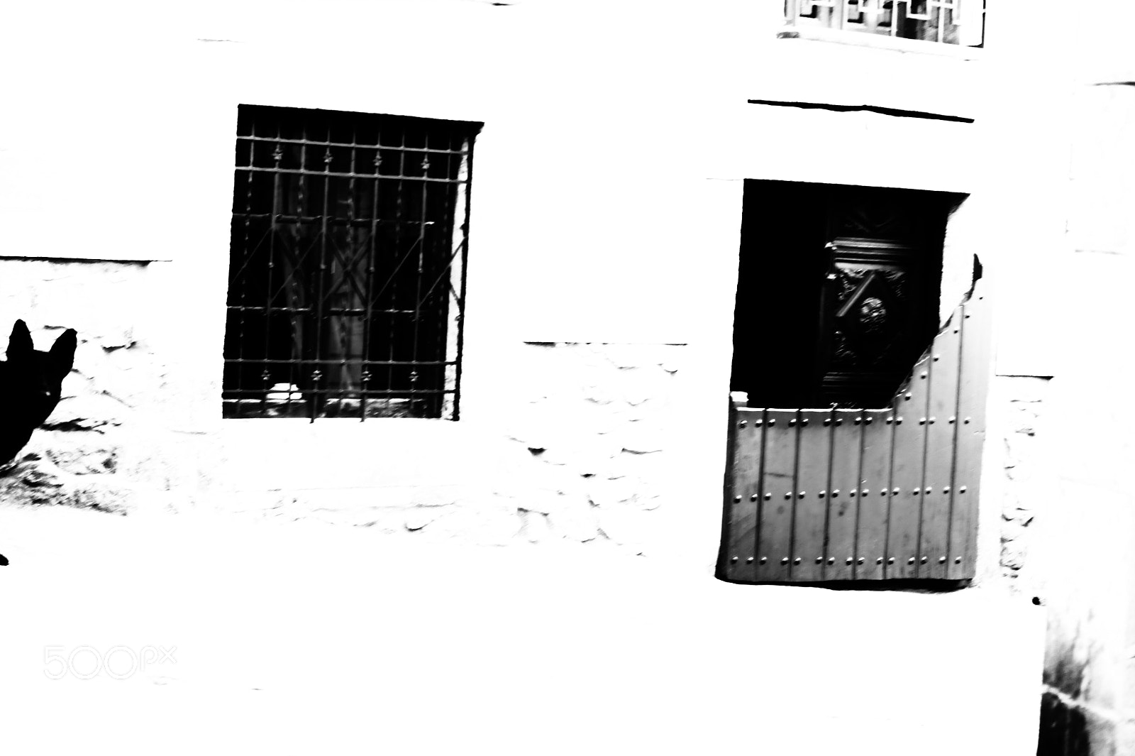 Sony SLT-A58 sample photo. Perro. photography