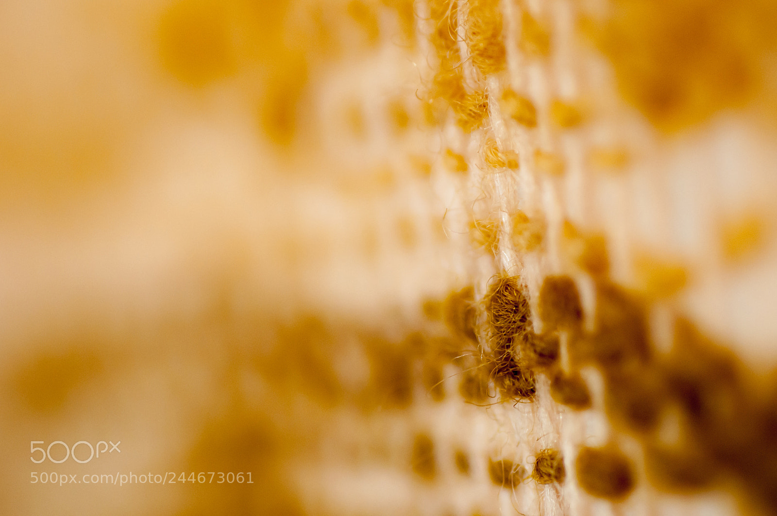 Nikon D90 sample photo. Abstract photography